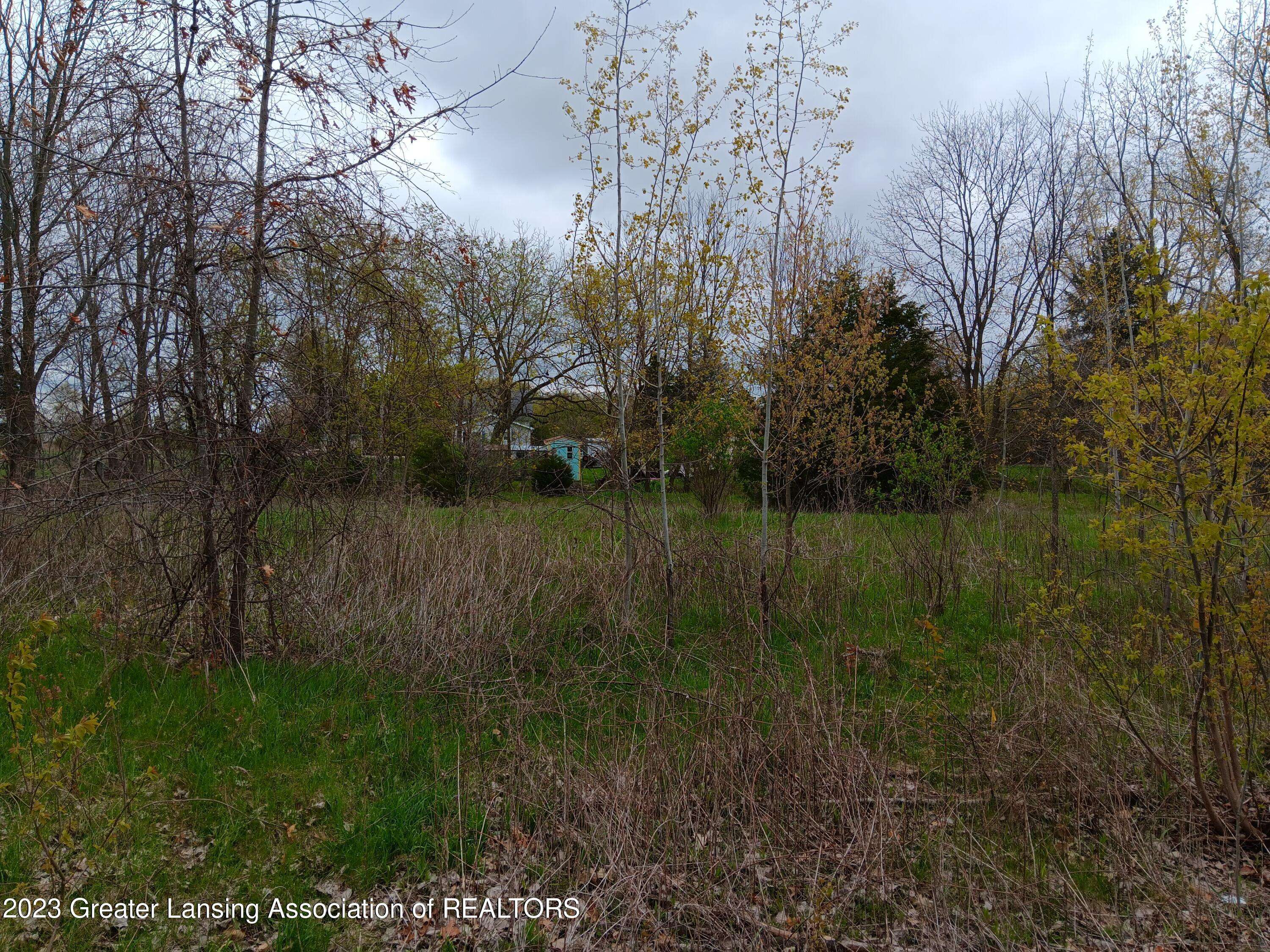 Perry, MI 48872,00 W Riverview Drive, Perry, MI 48872