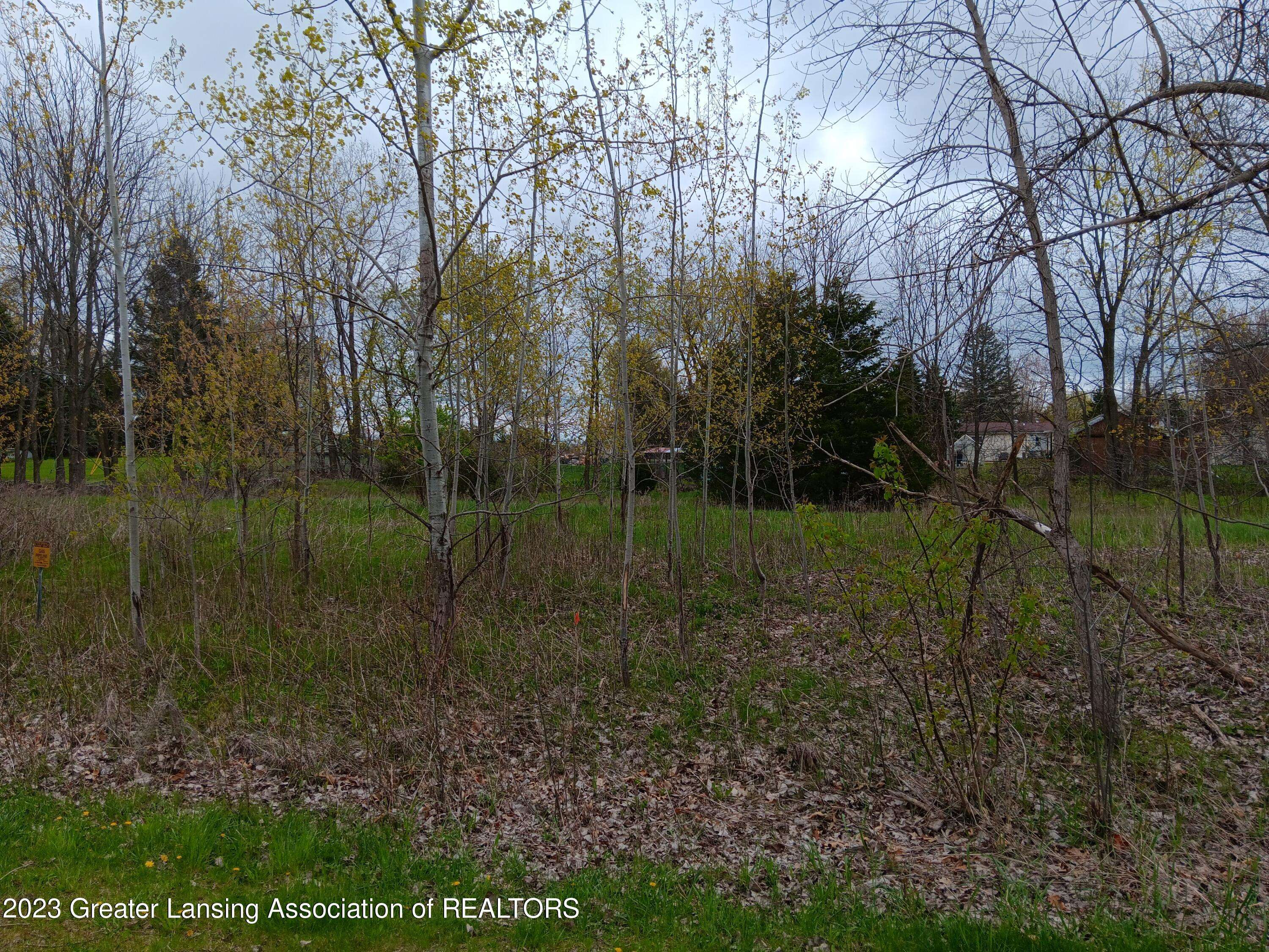 Perry, MI 48872,0 W Riverview DR