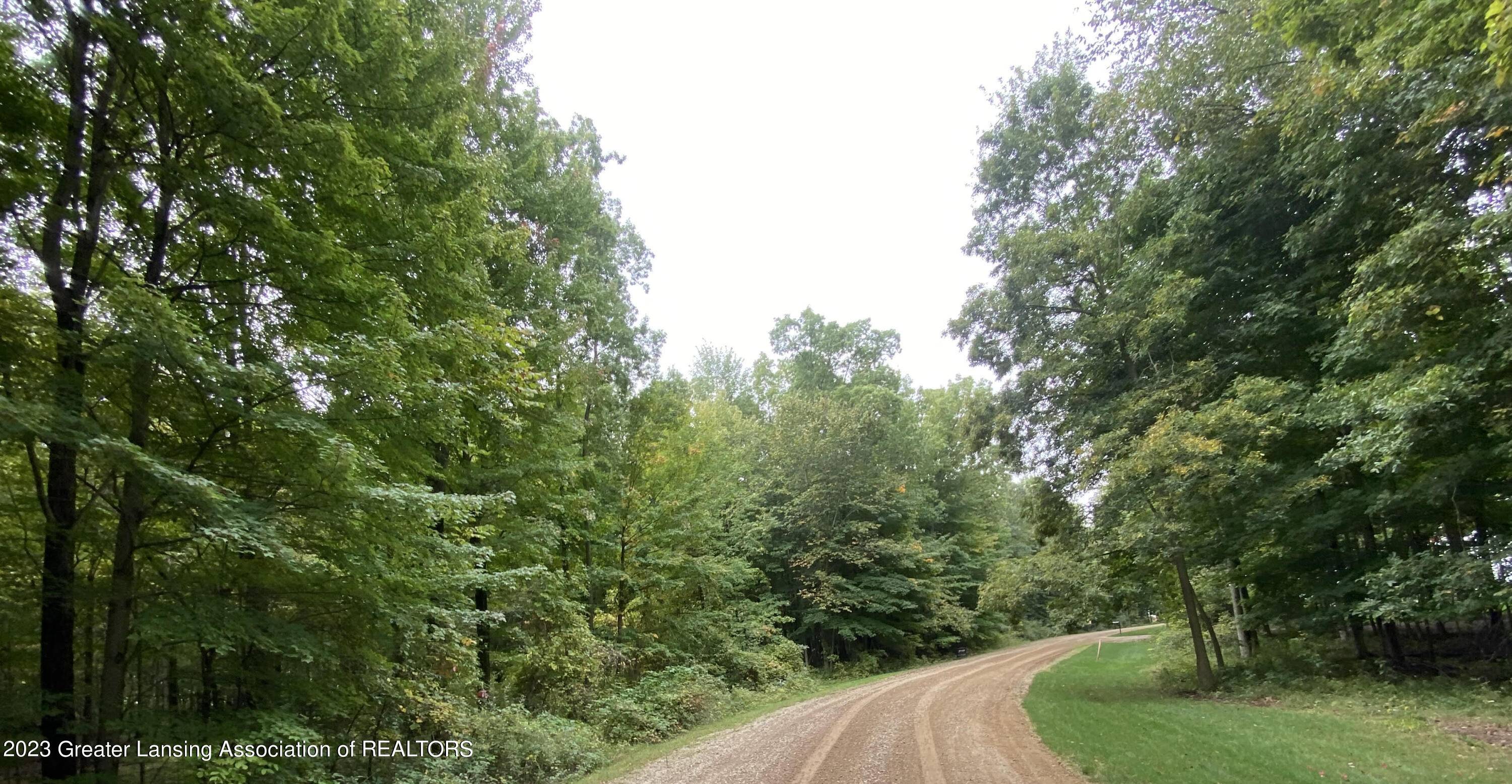 Chesaning, MI 48616,V/L #5 Brookshire DR