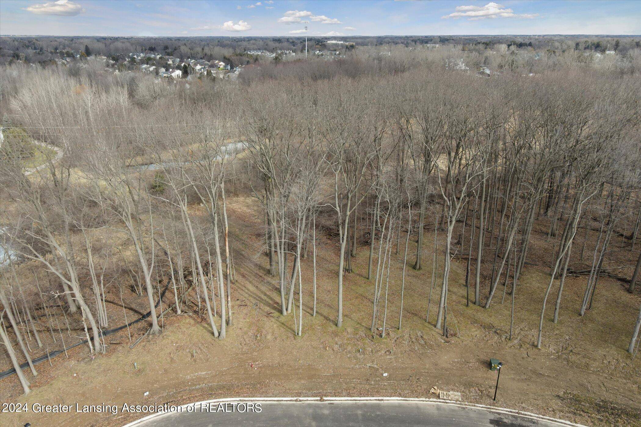 Okemos, MI 48864,Lot 4 Crane Circle, Okemos, MI 48864