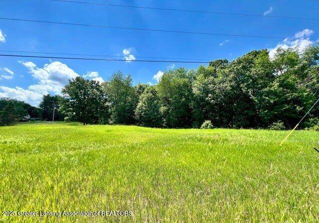 Laingsburg, MI 48848,V/L S Shepardsville RD