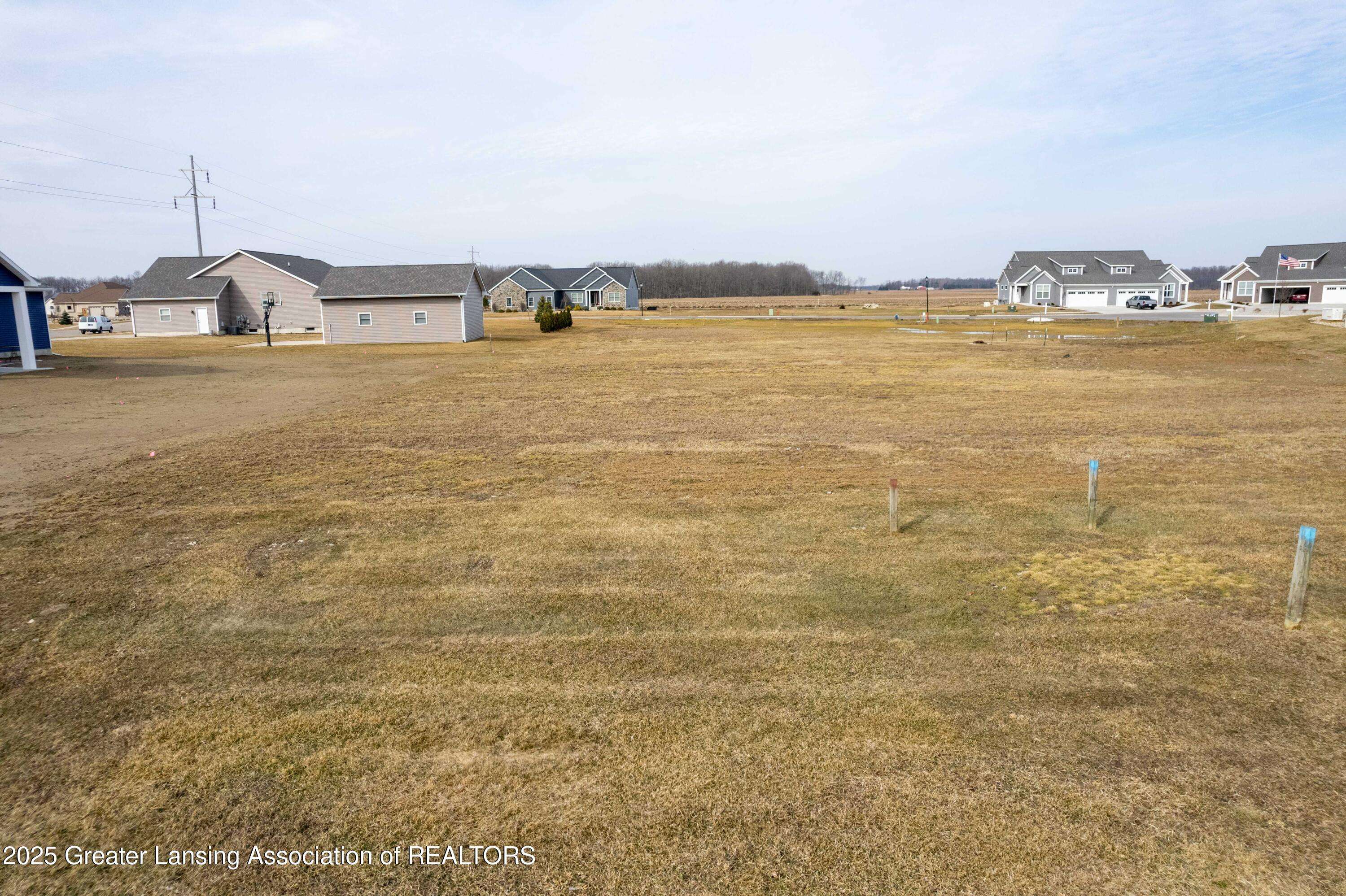 Fowler, MI 48835,Lot 8 N Wright RD