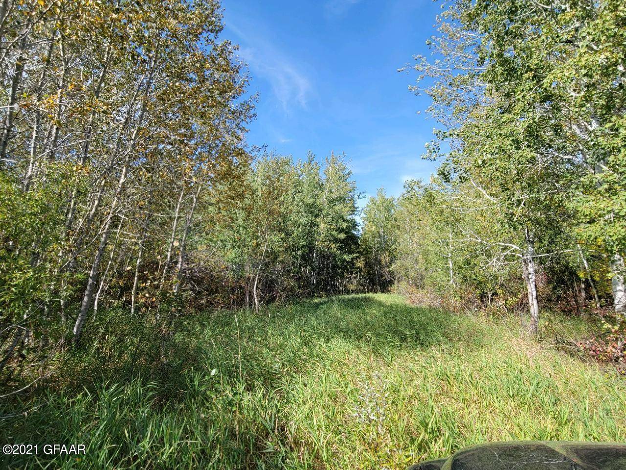 Greenbush, MN 56726,TBD 160 AVE