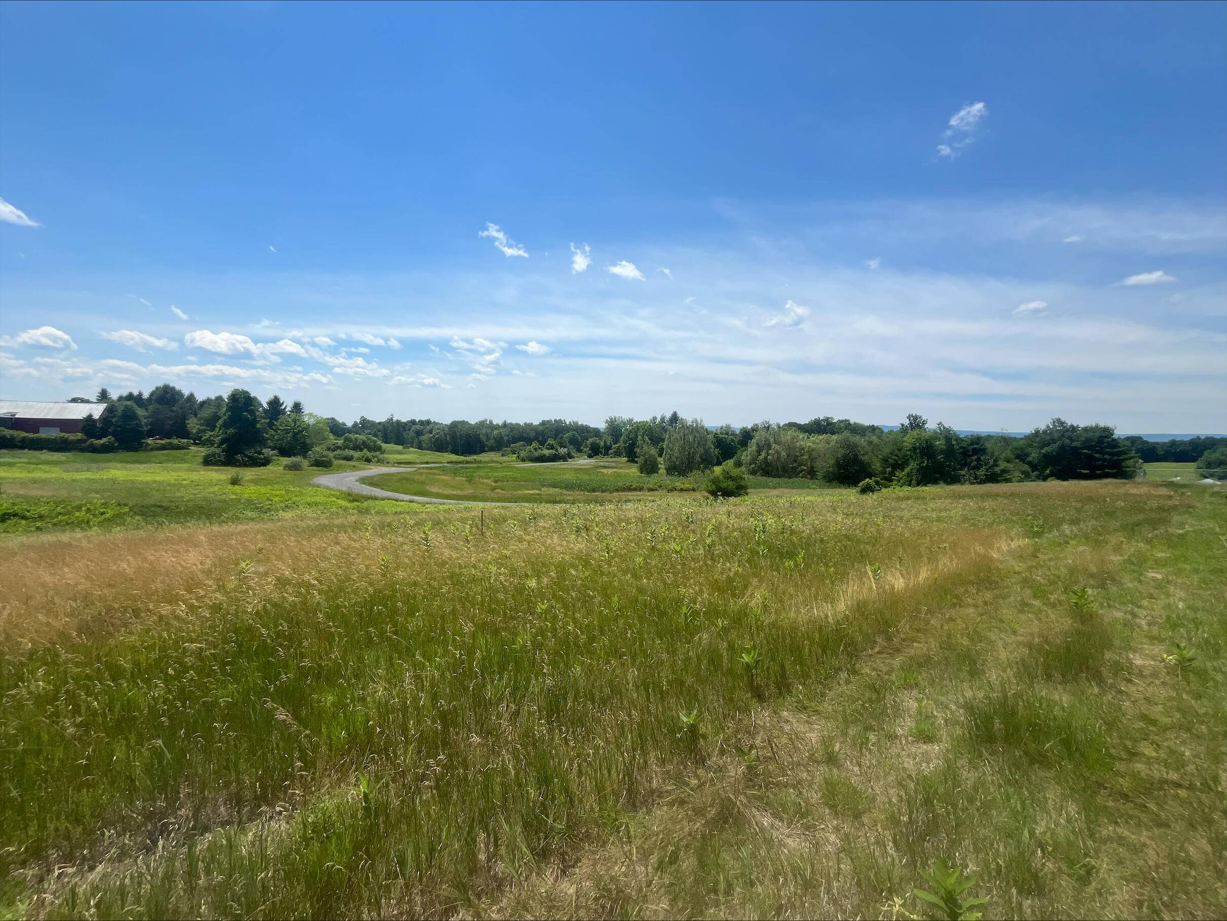 Albany, NY 12203,553 Krumkill RD