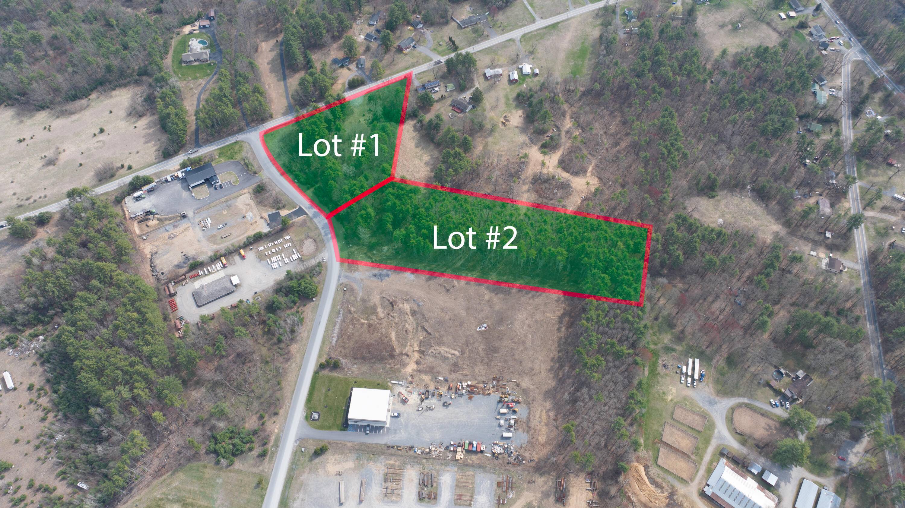 Wilton, NY 12831,L1 and L3 Blue Lupine LN