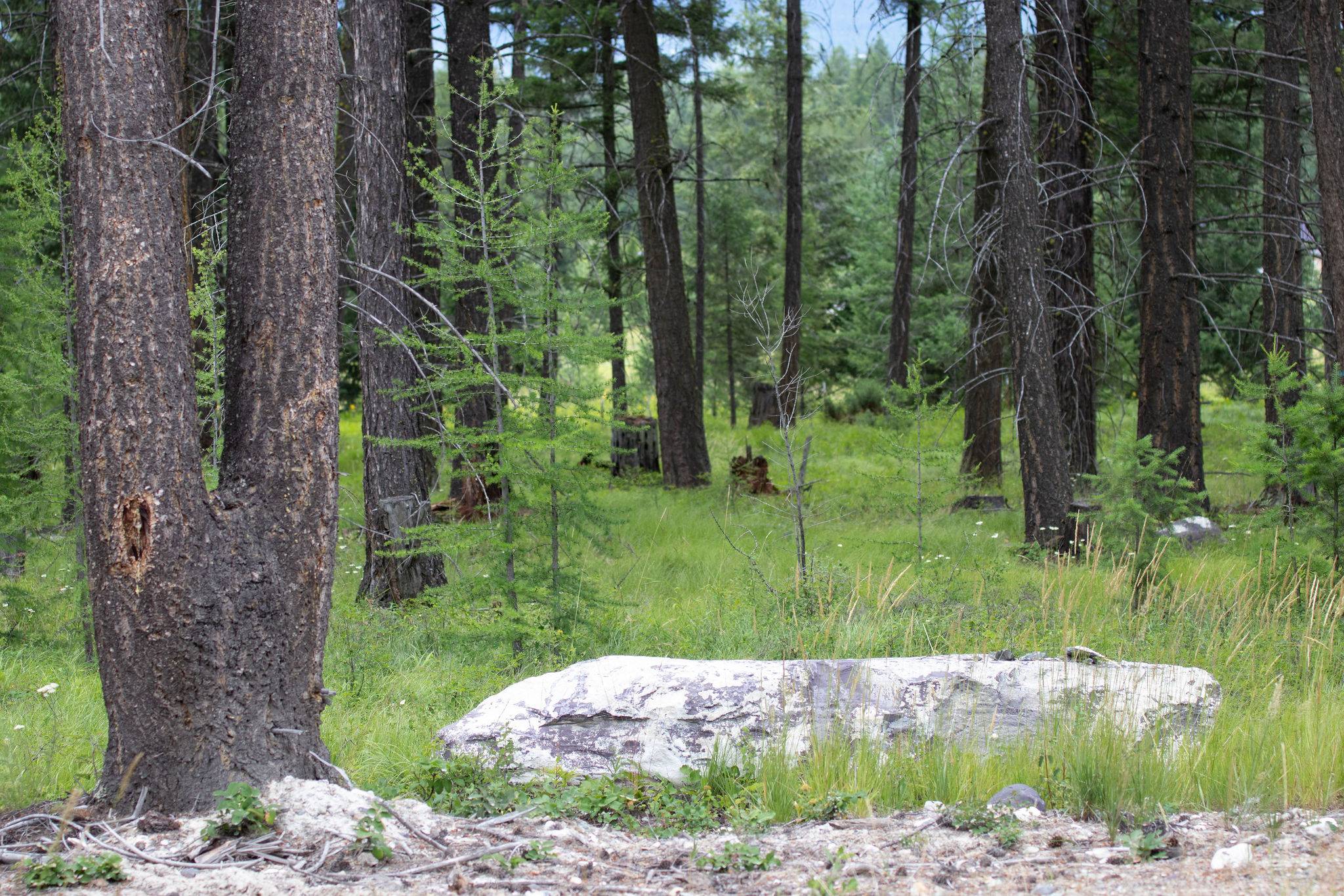 Whitefish, MT 59937,Address To Be Determined The Woodlands #Lot 9
