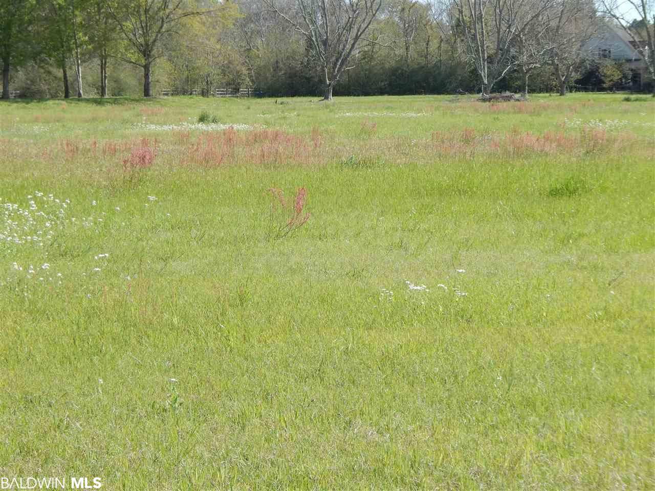 Foley, AL 36535,0 County Road 28