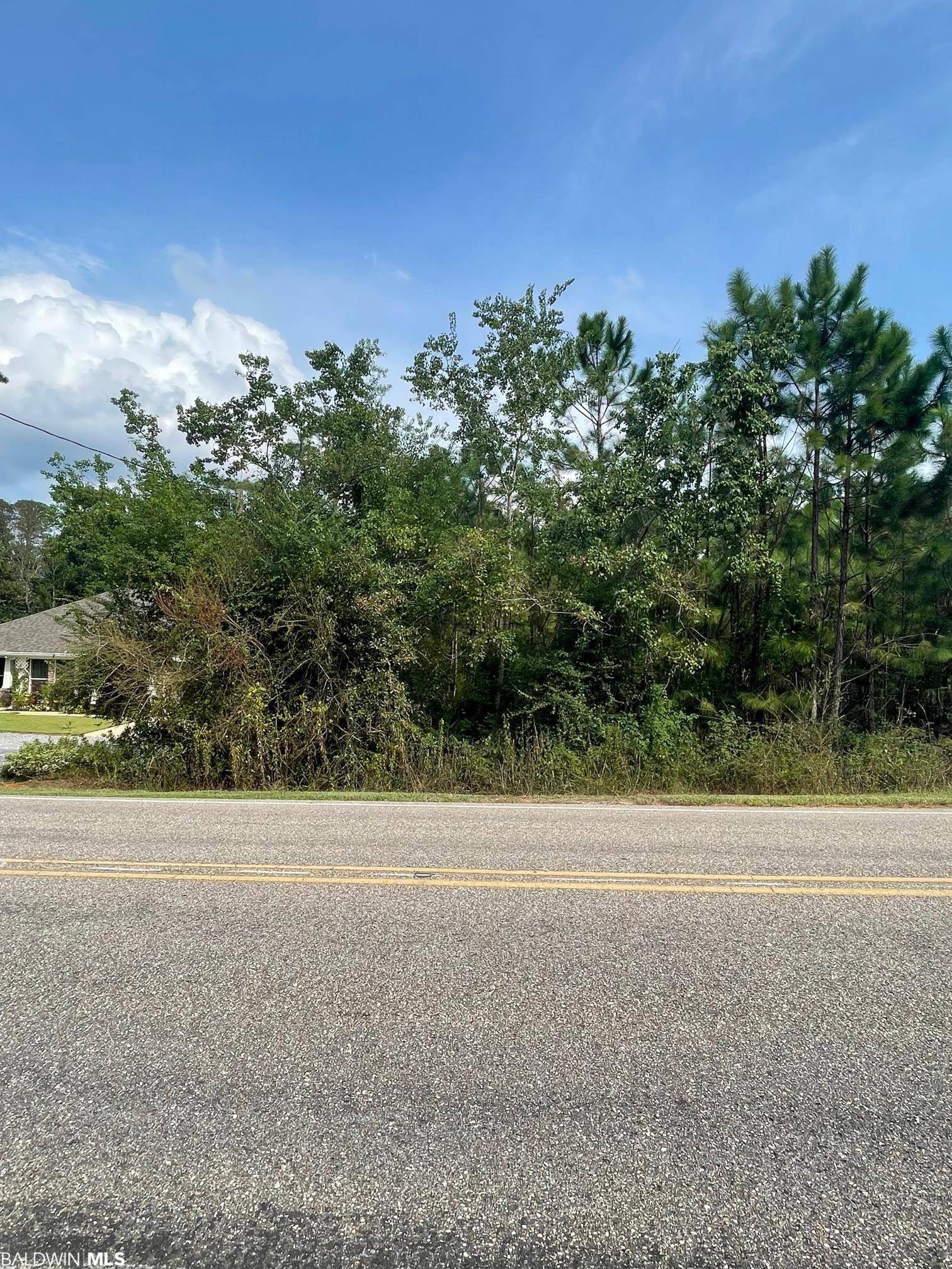 Lillian, AL 36549,17 County Road 99