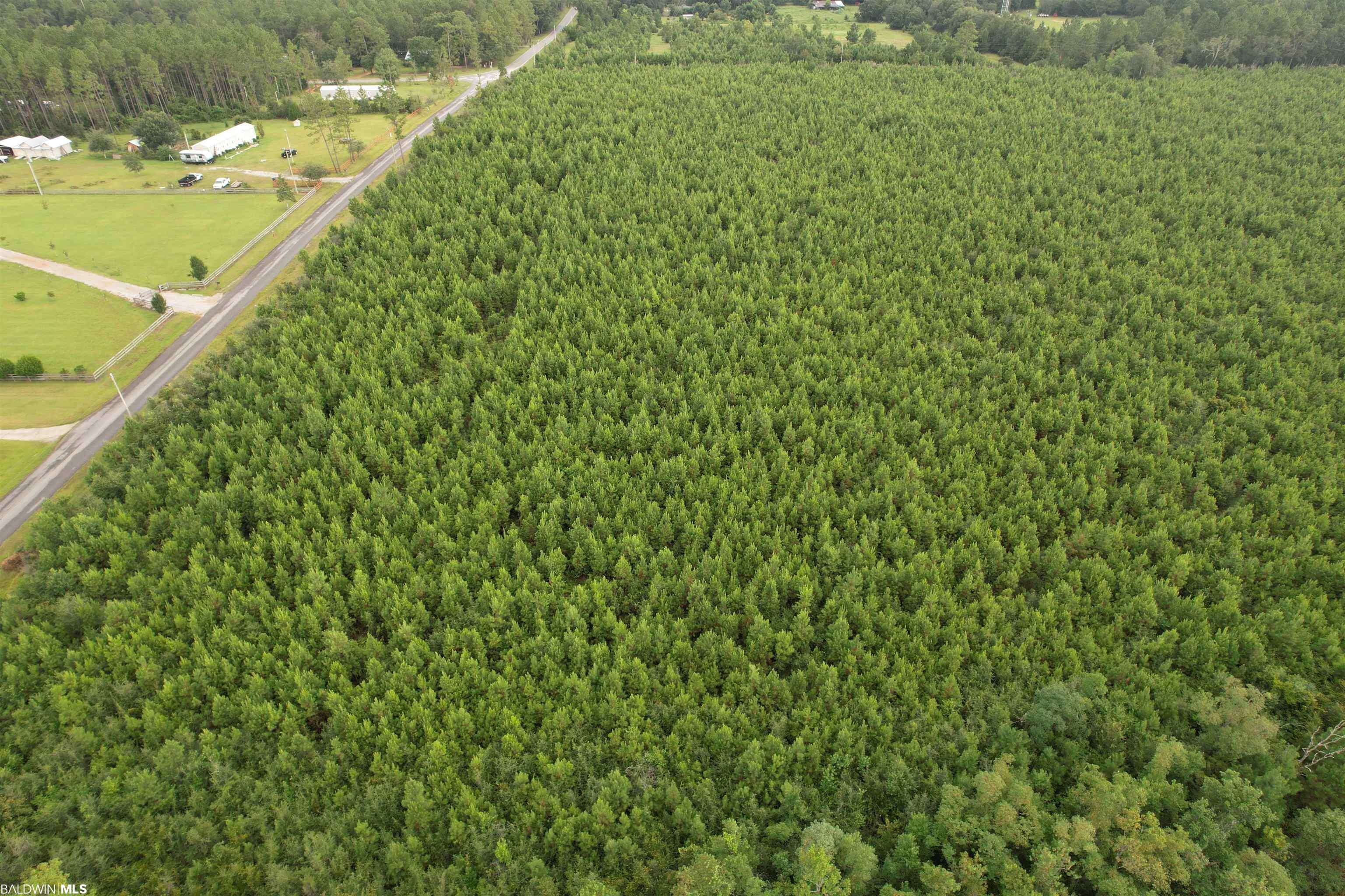 Robertsdale, AL 36567,0 Timber Company Road