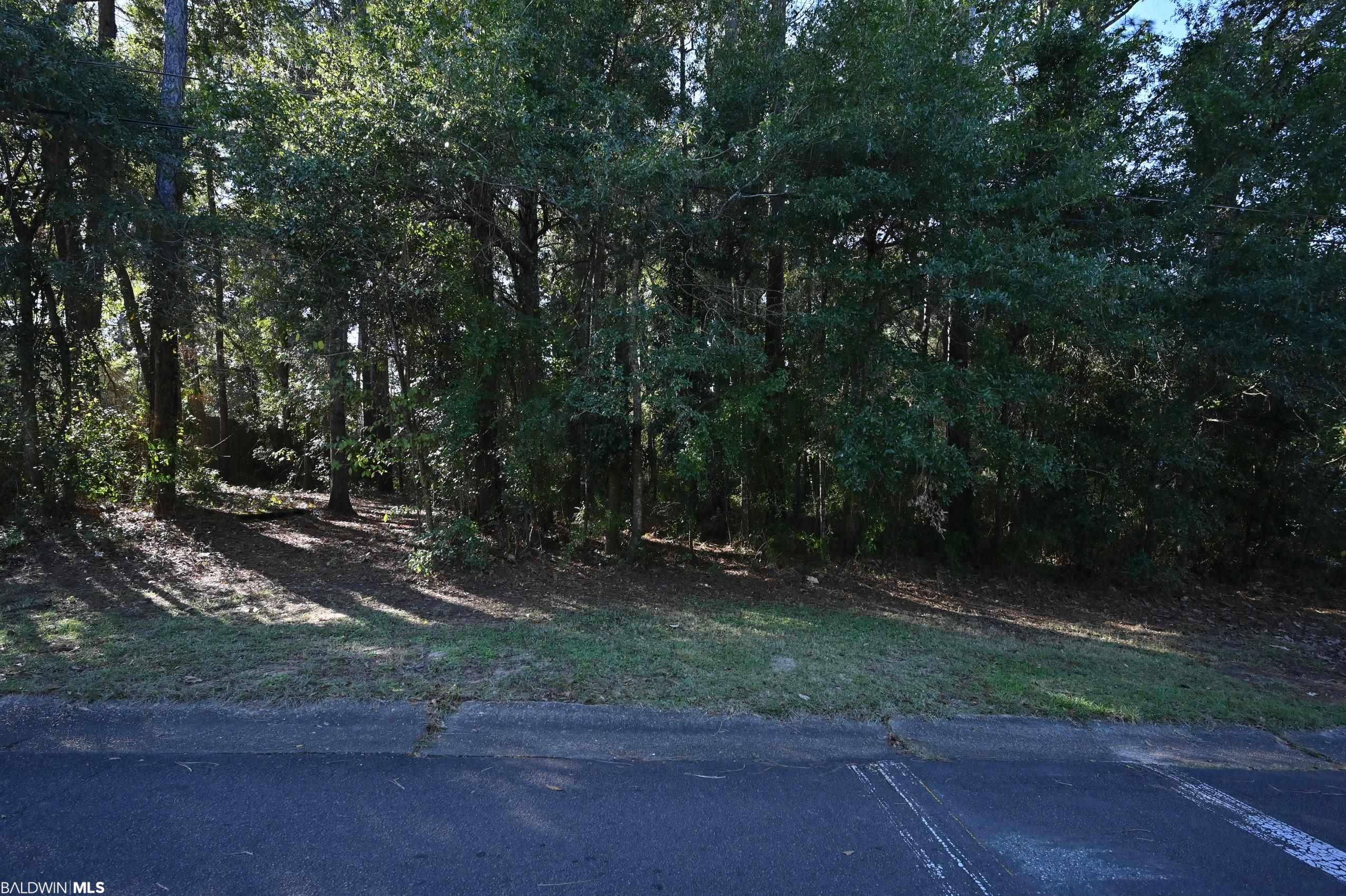 Fairhope, AL 36532,Lot 2B Rosa Avenue