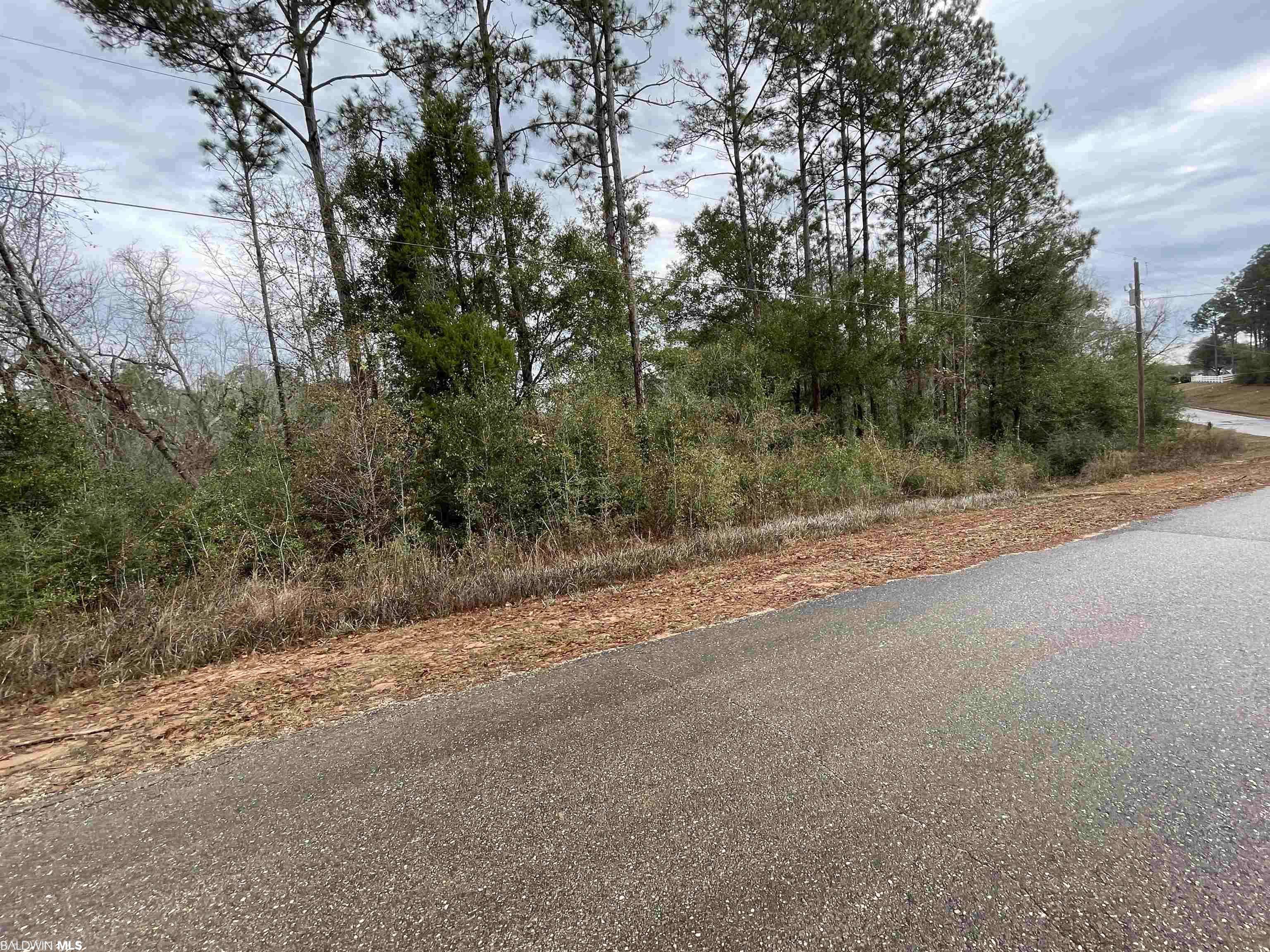 Seminole, AL 36574,00 Liatrus Lane