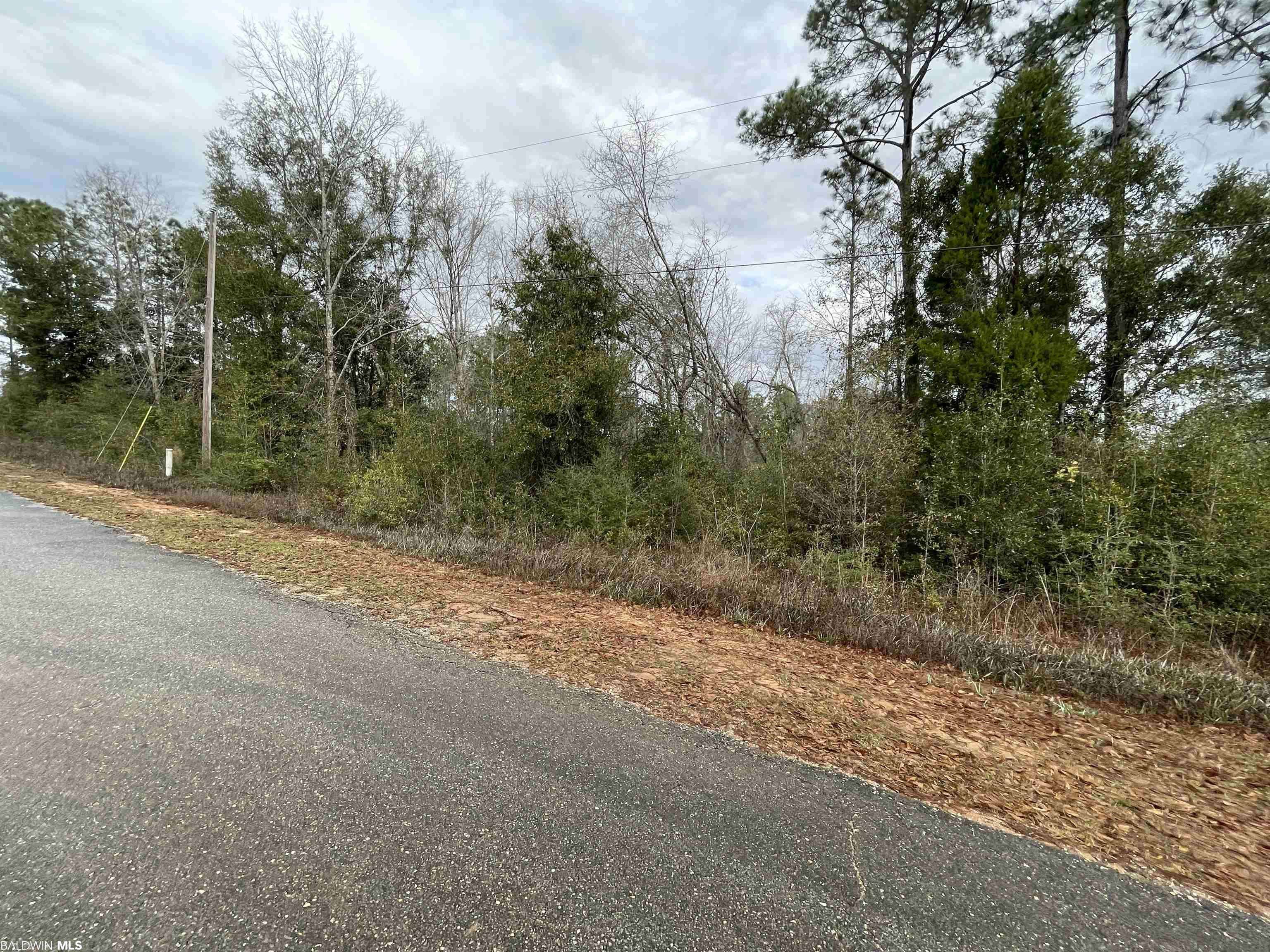 Seminole, AL 36574,00 Liatrus Lane