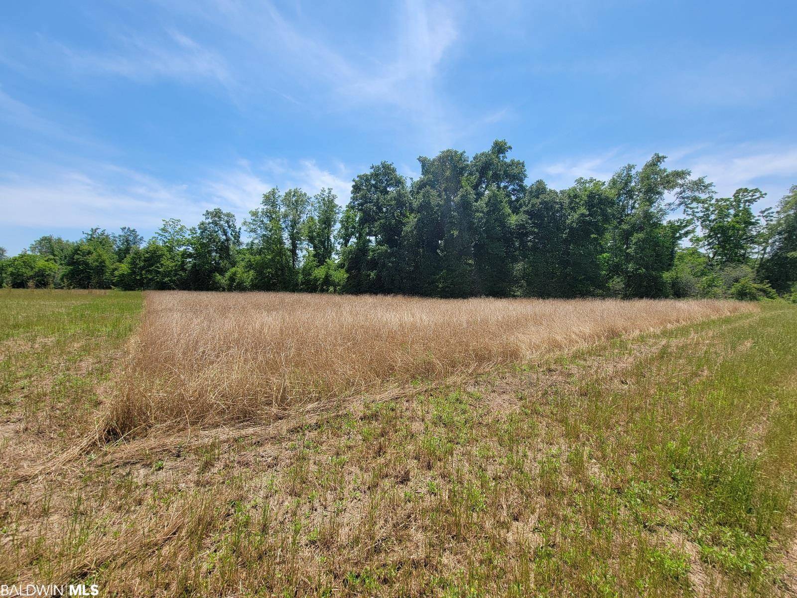 Foley, AL 36535,0 Back Forty Lane