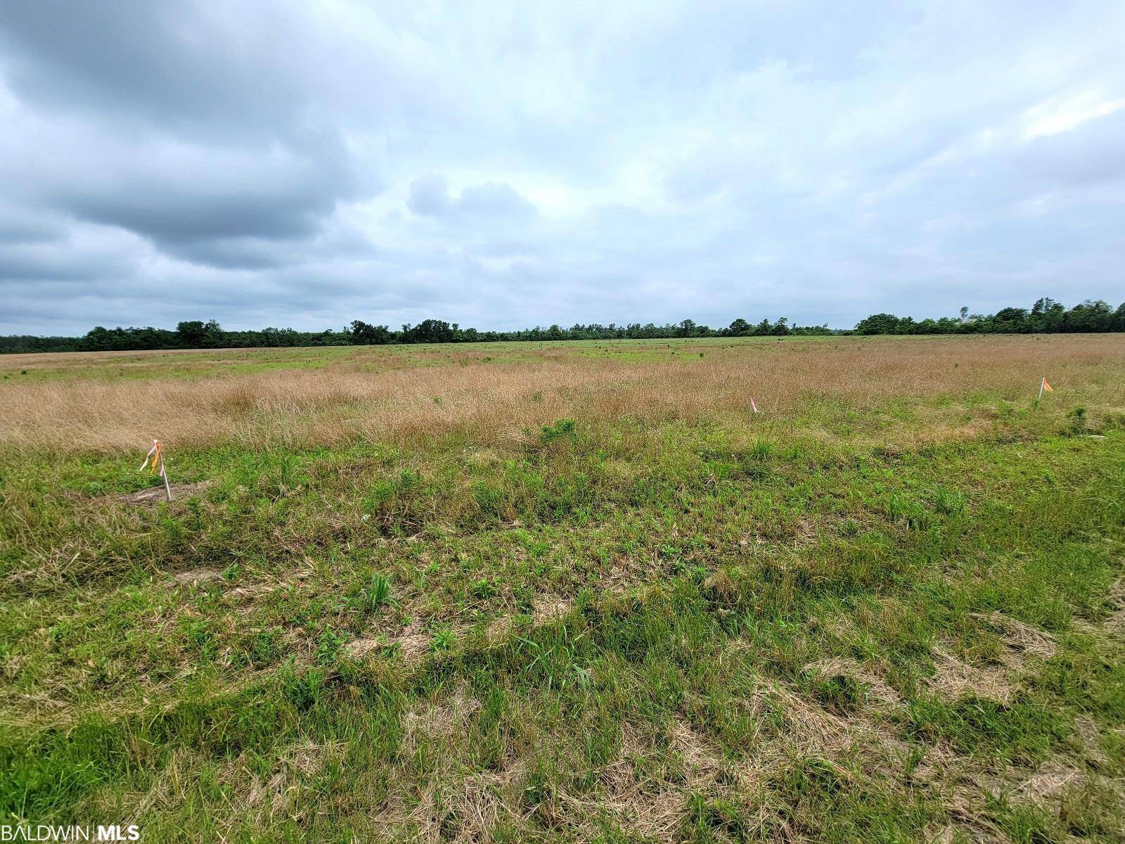 Foley, AL 36535,0 County Road 16