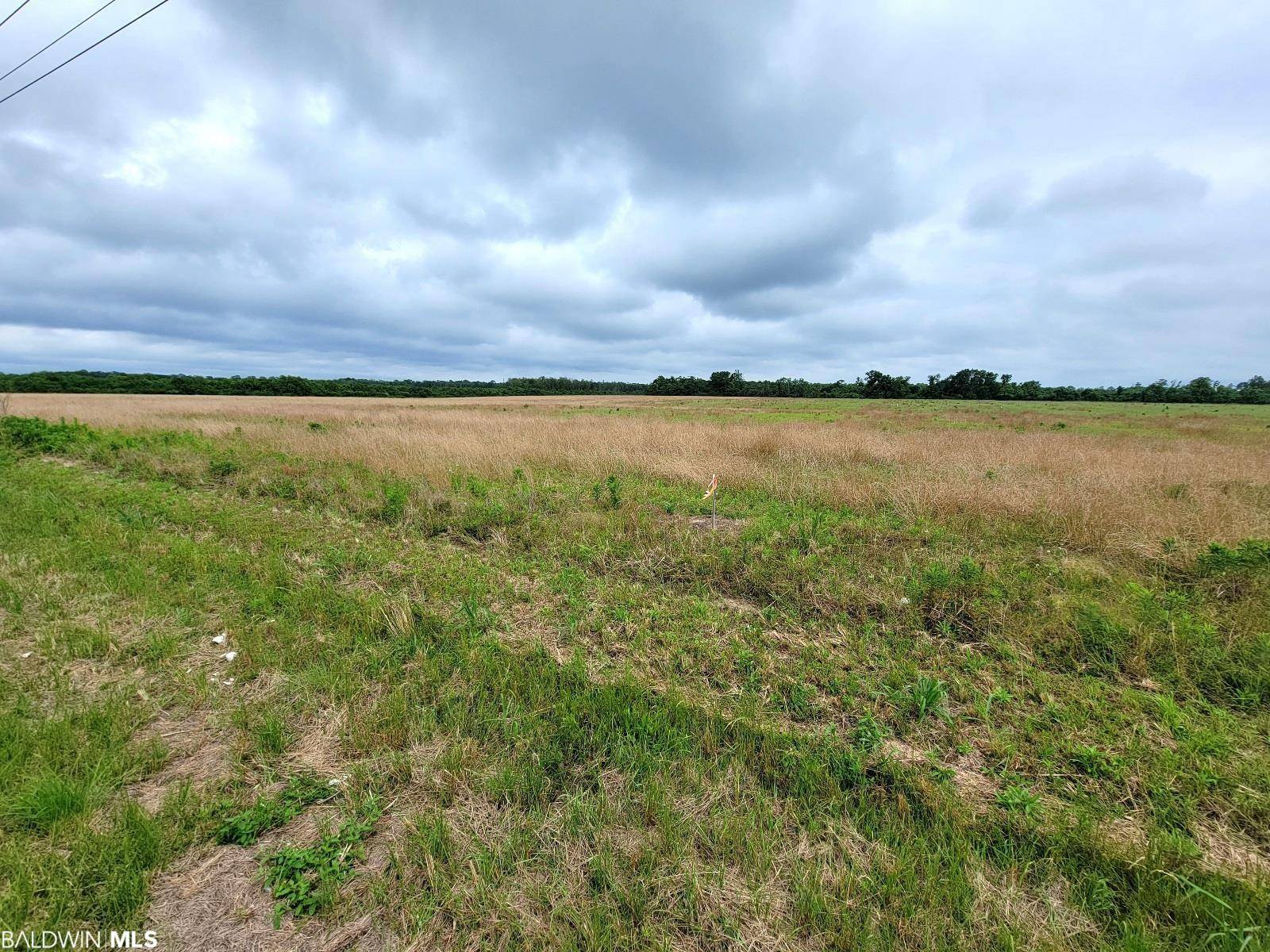 Foley, AL 36535,0 County Road 16