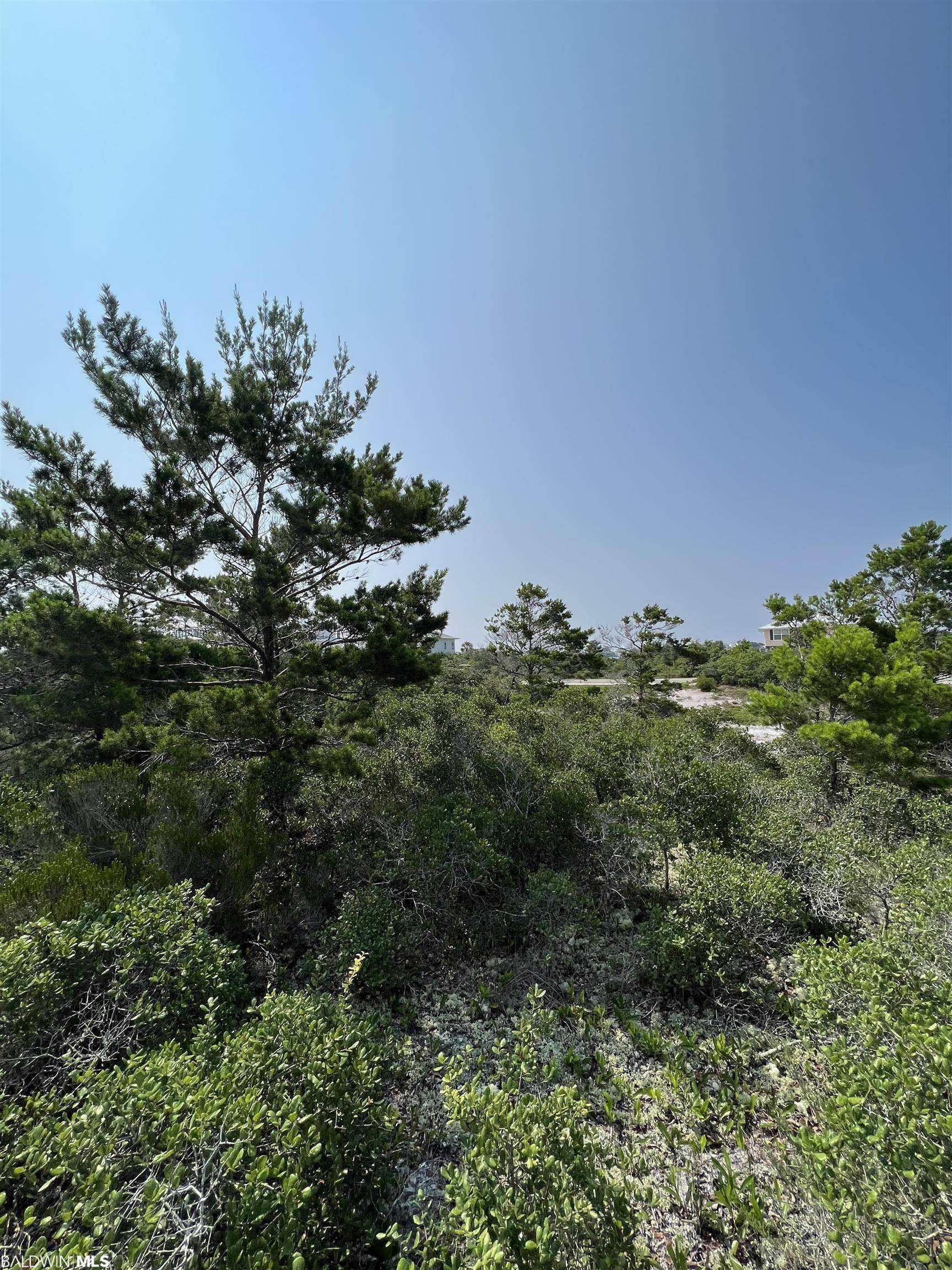 Orange Beach, AL 36561-3753,0 River Road