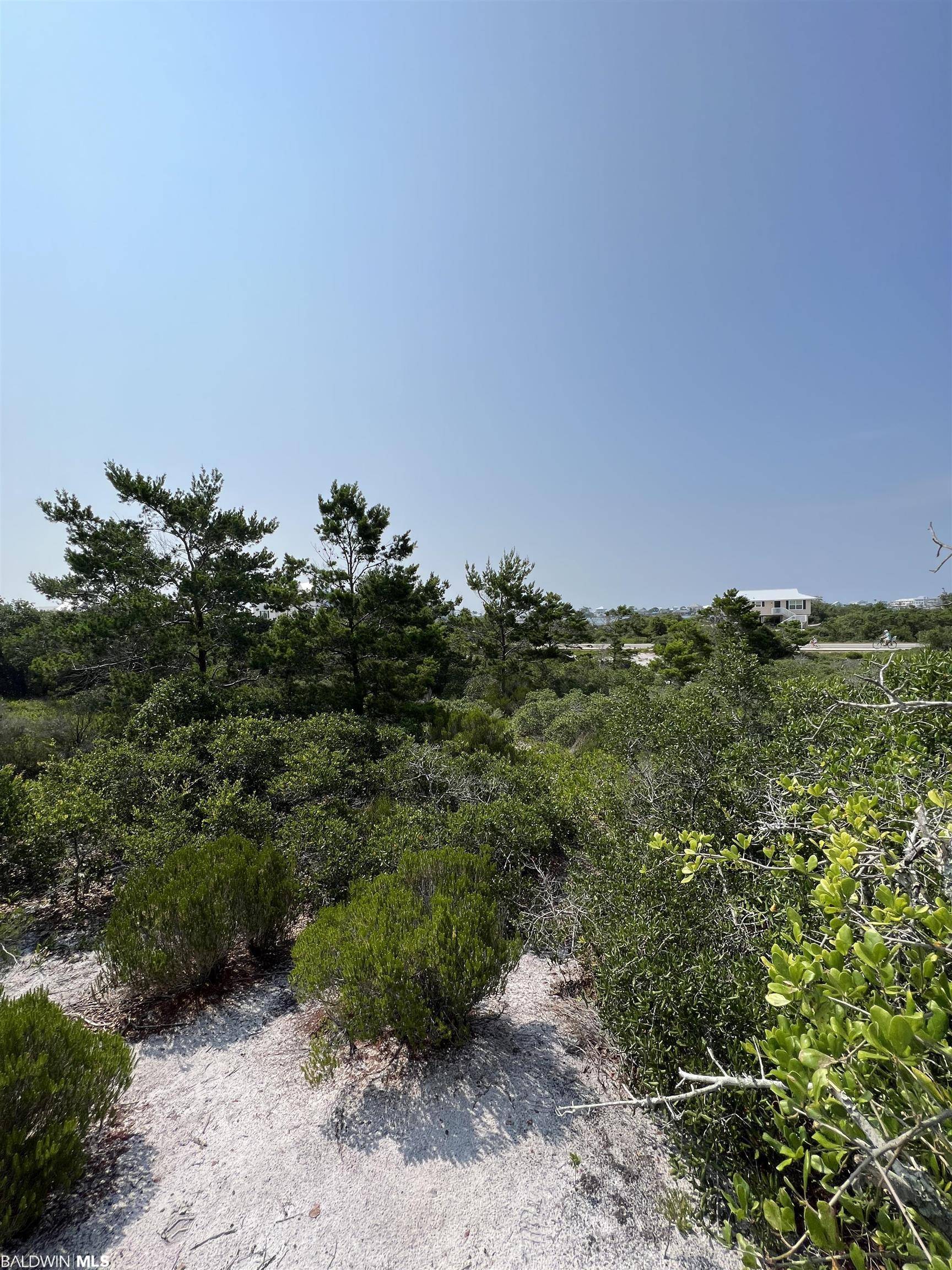 Orange Beach, AL 36561-3753,0 River Road