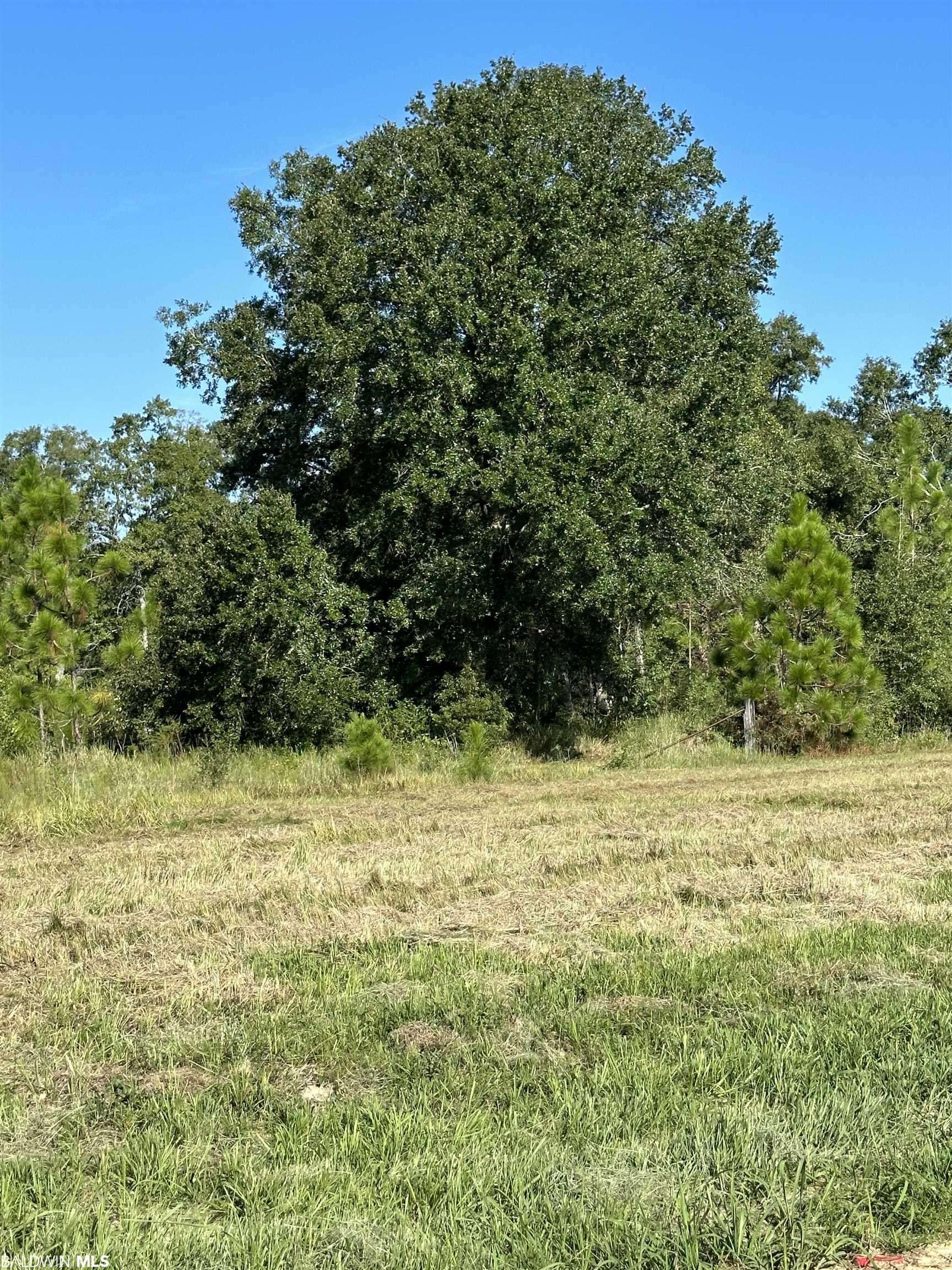 Mobile, AL 36608,0 Hampton Ridge Court