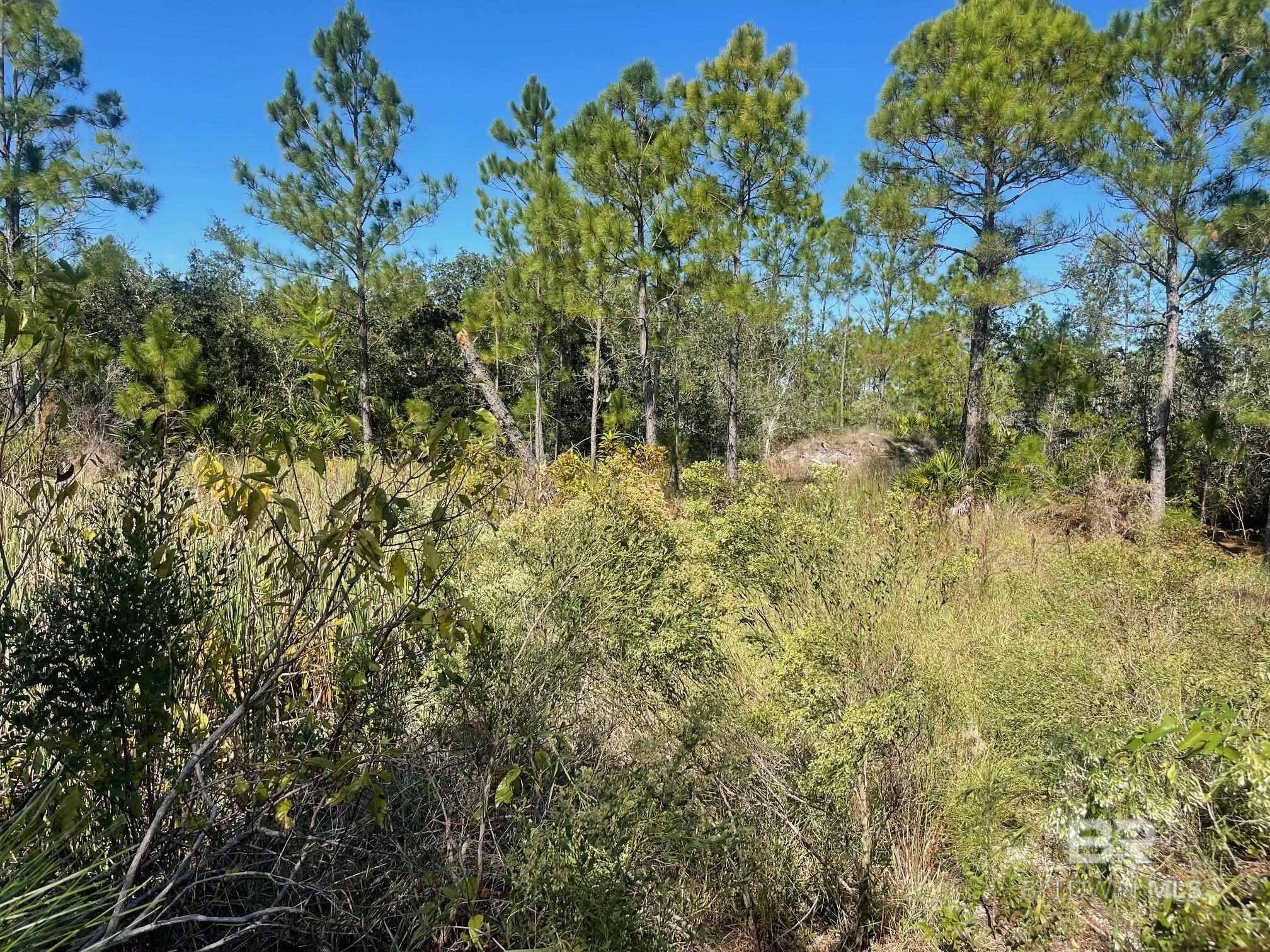 Gulf Shores, AL 36547,Lot 15 Palmetto Drive