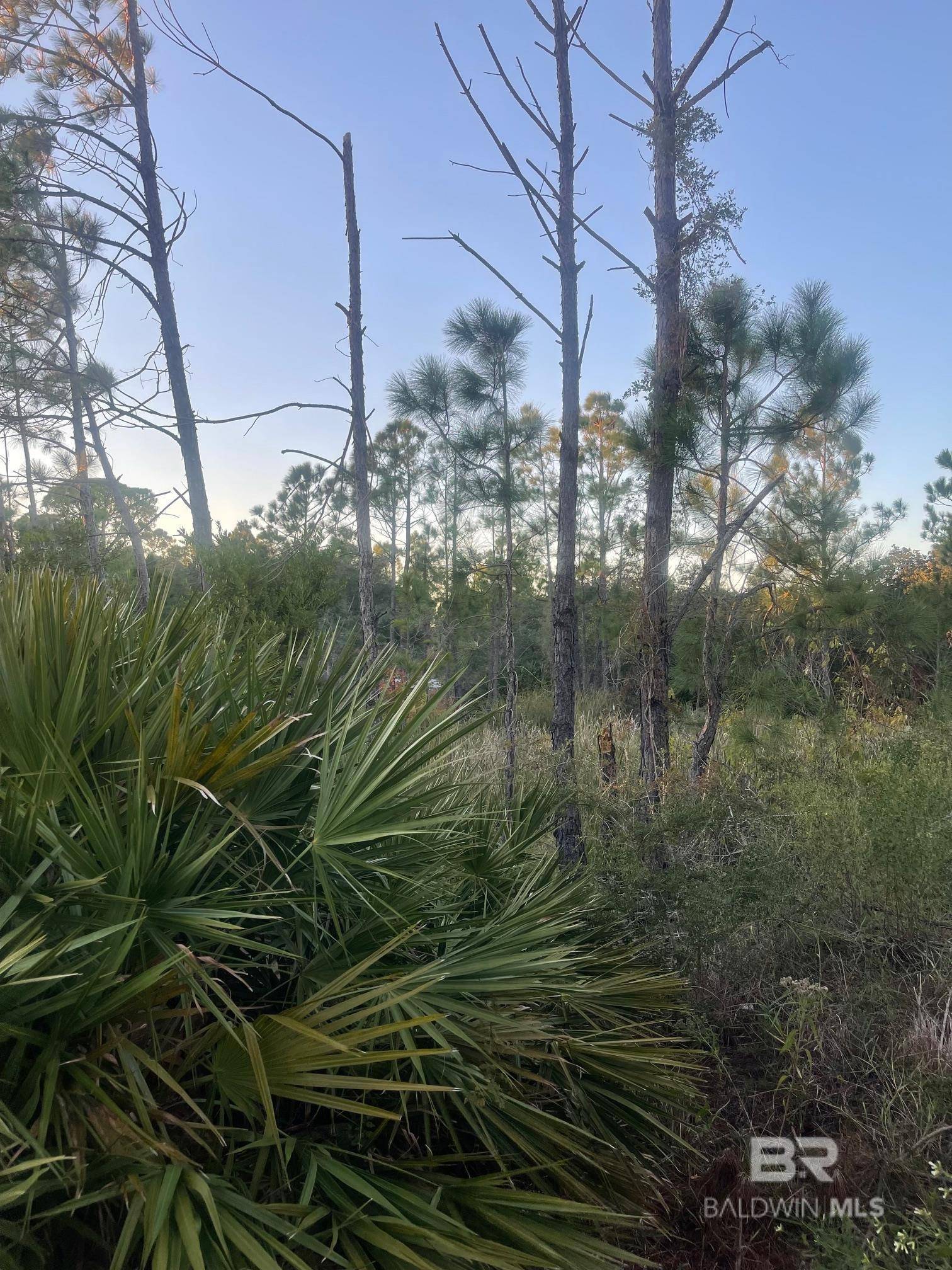 Gulf Shores, AL 36547,Lot 15 Palmetto Drive