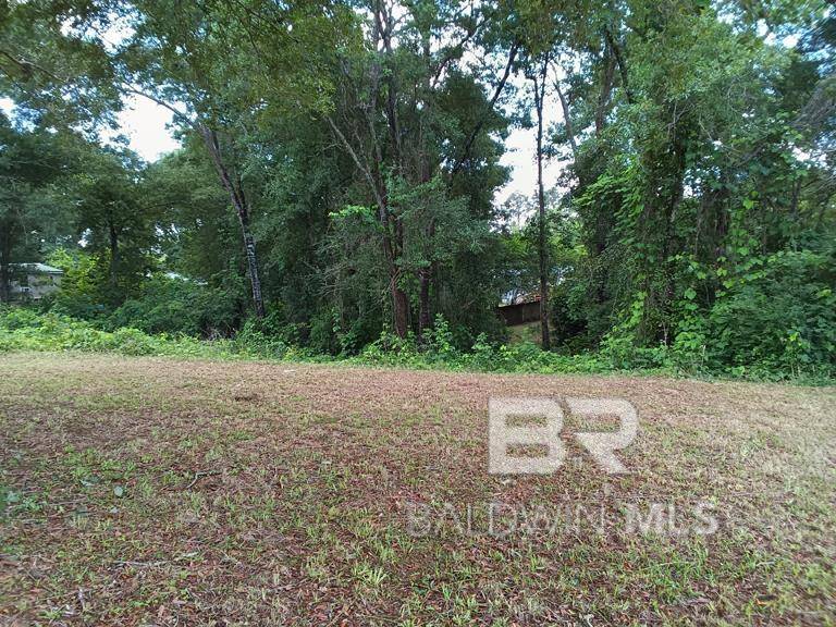 Loxley, AL 36551,0 Upland Court