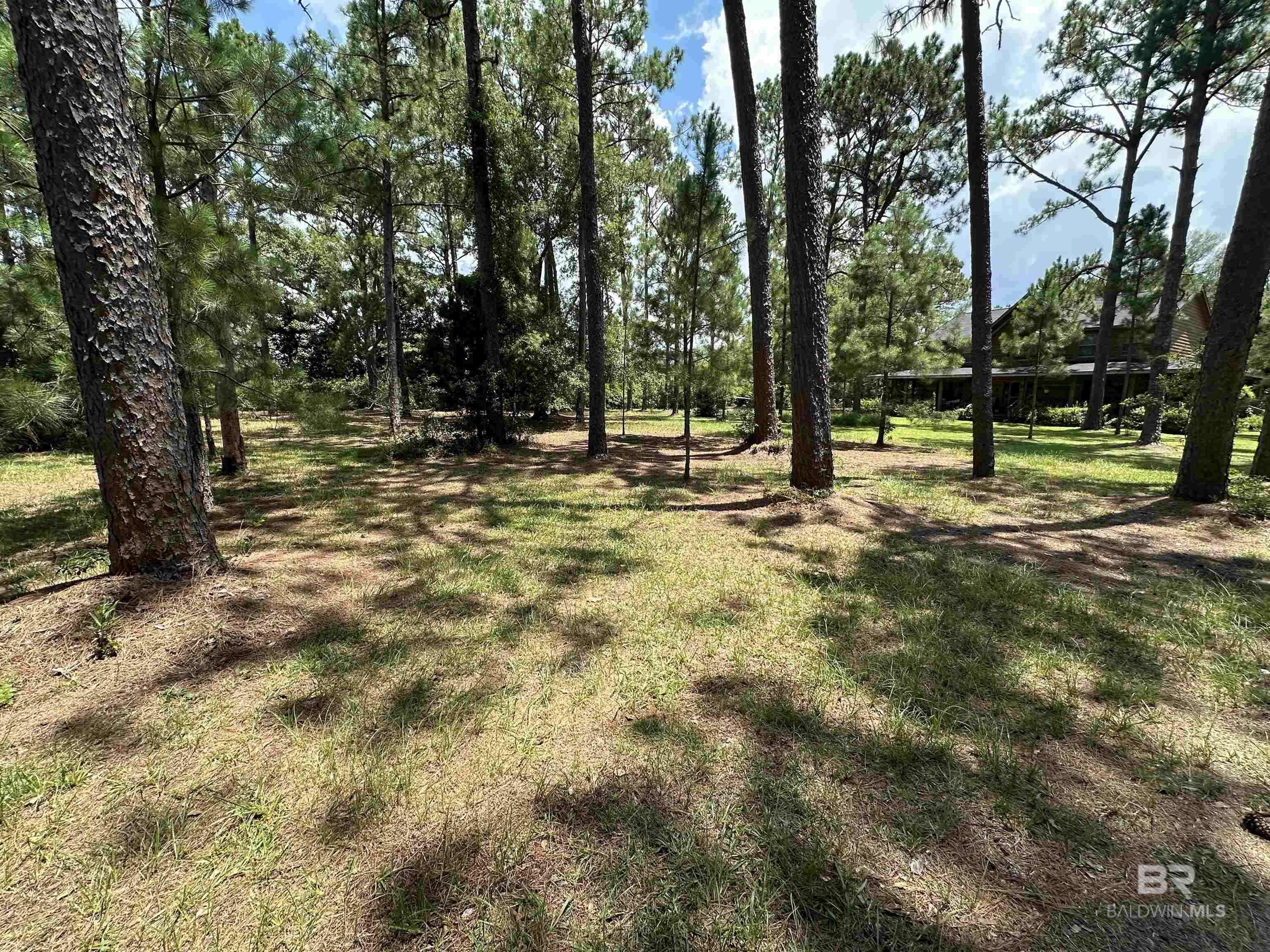 Foley, AL 36535-0000,8100 S Highway 59