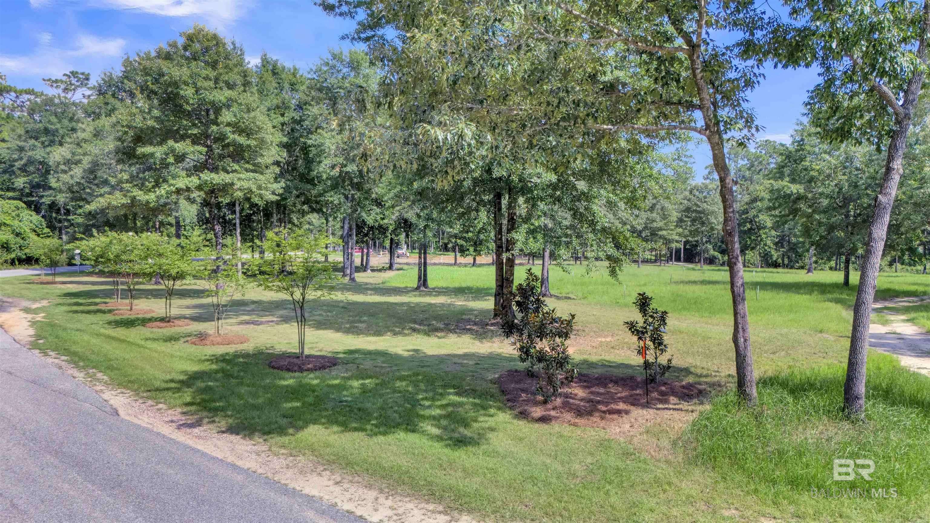 Loxley, AL 36551,33579 Steelwood Ridge Road