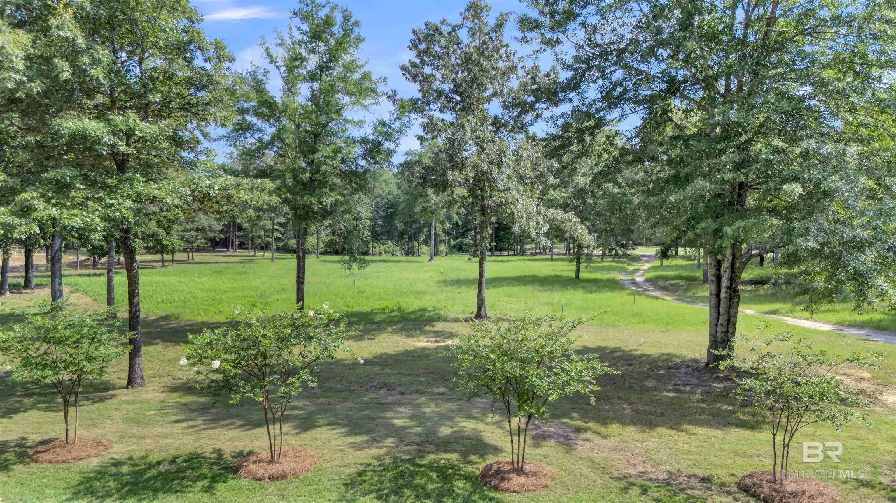 Loxley, AL 36551,33579 Steelwood Ridge Road