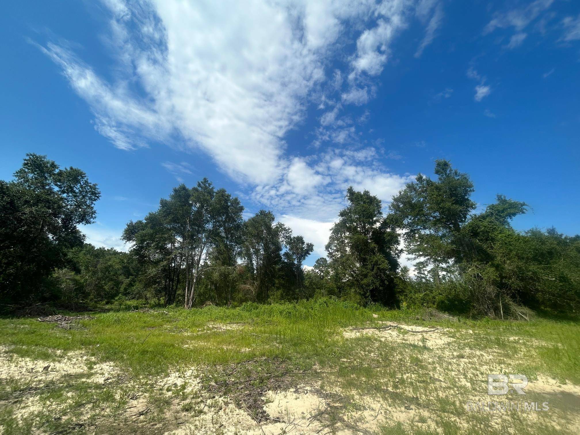 Mobile, AL 36695,0 Newman Road