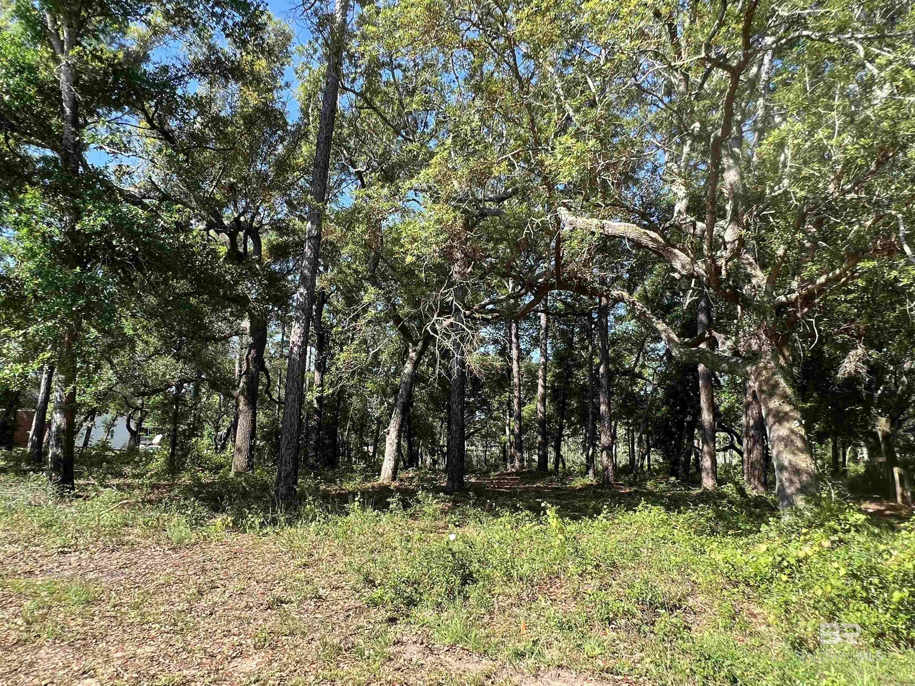 Lillian, AL 36549,9545 North Bayou Road