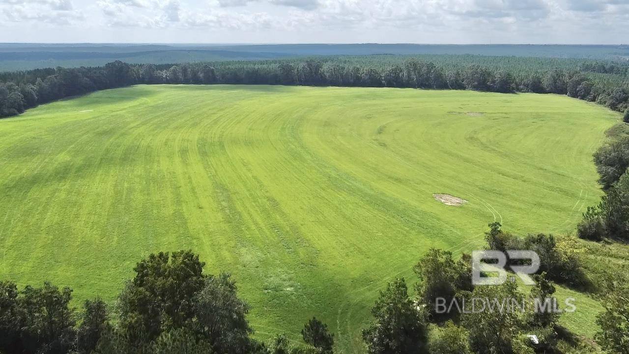 Brewton, AL 36426,2700 Block Rawls Road