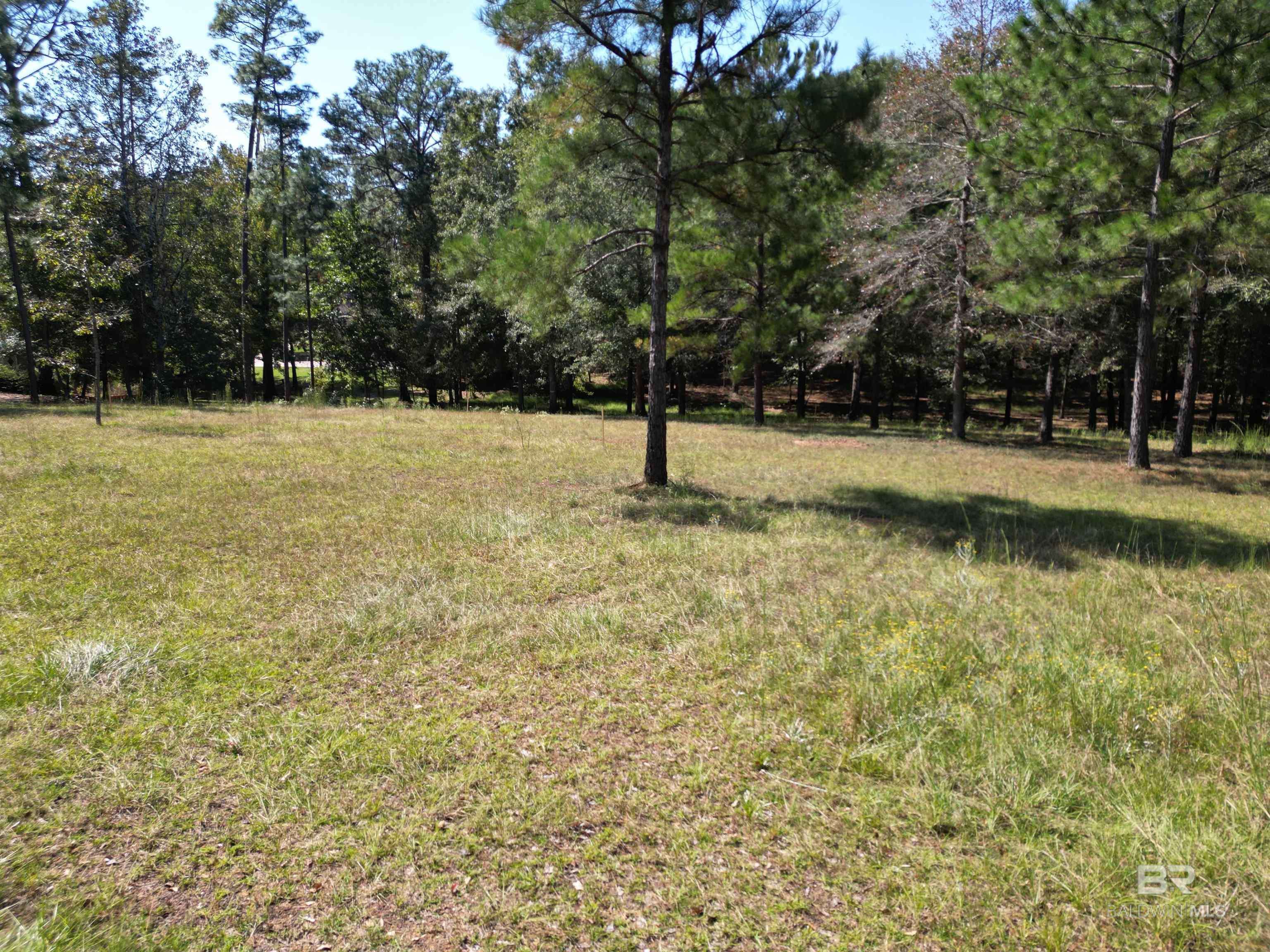 Atmore, AL 36502,00 Longleaf Ridge