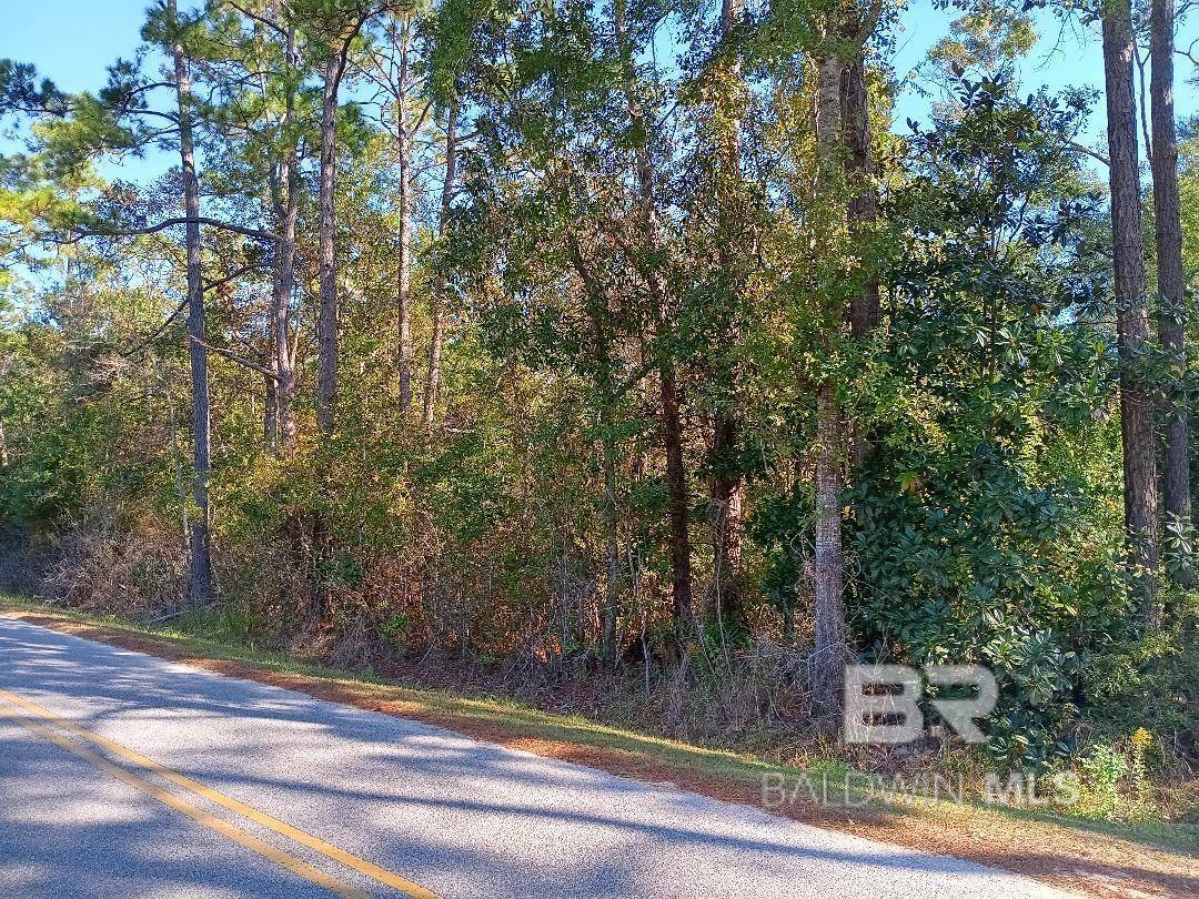 Foley, AL 36535,0000 Riverwood Drive