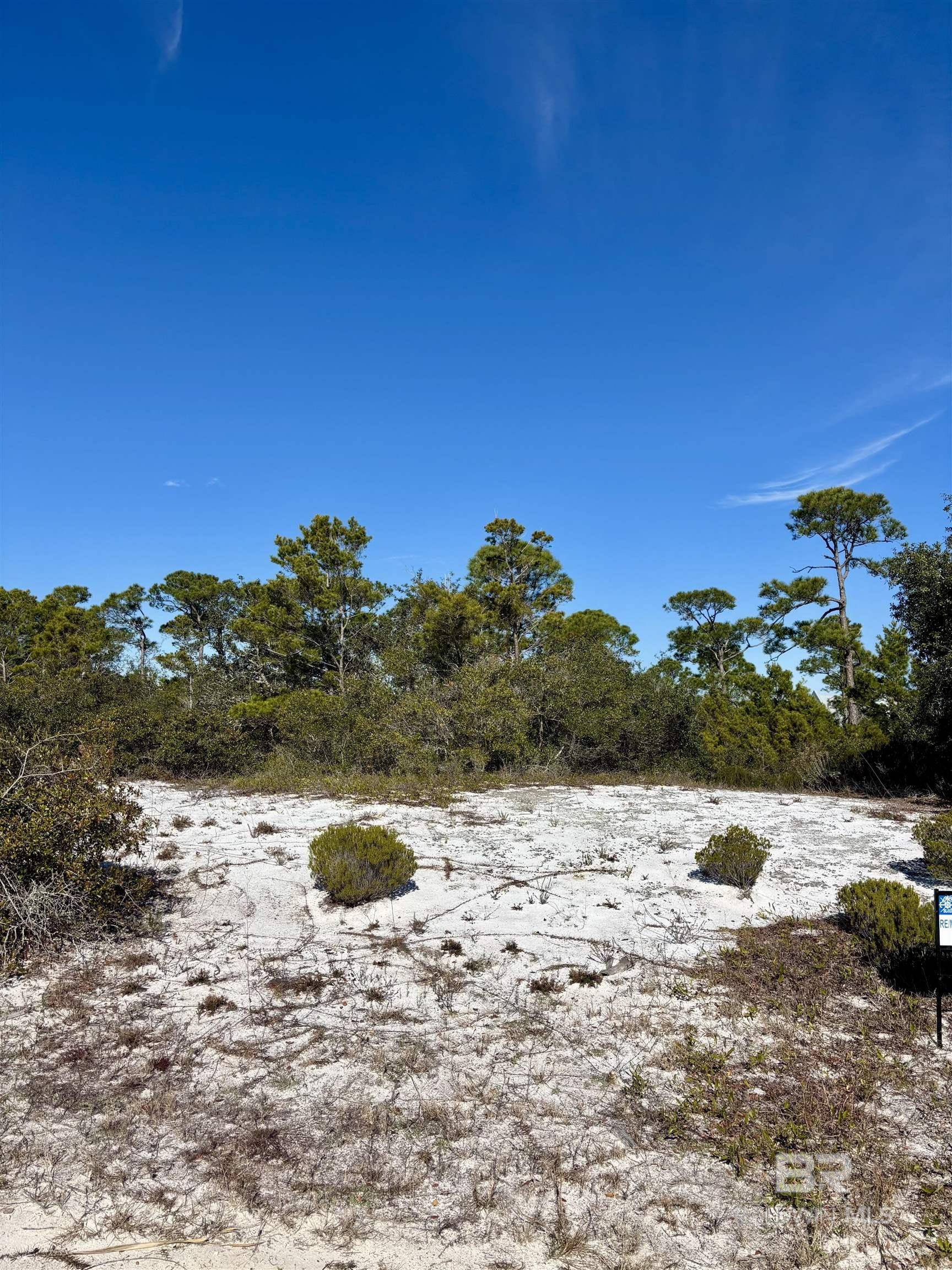 Orange Beach, AL 36561,0 River Road
