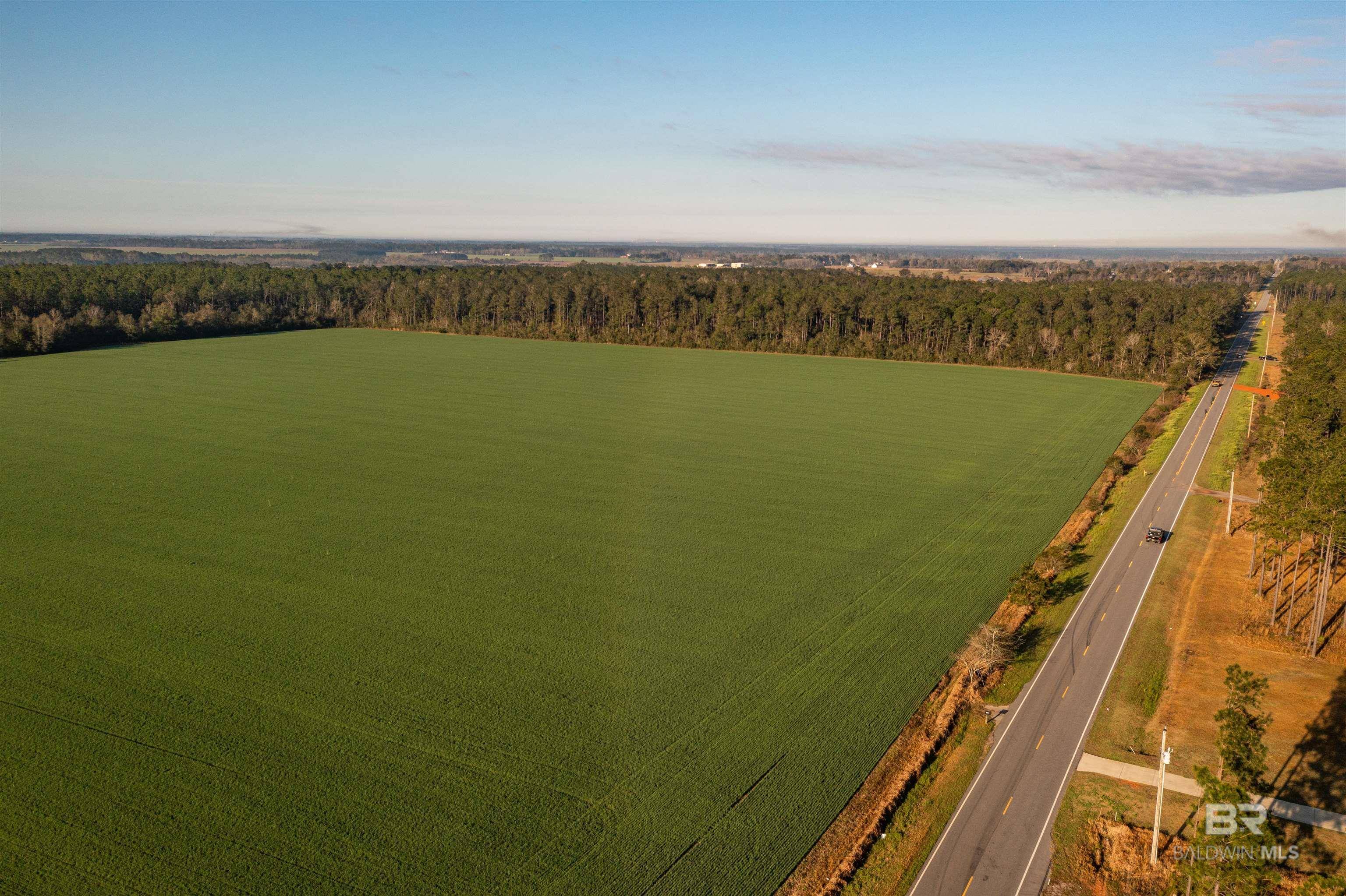 Elberta, AL 36530,0000 W GARDNER Road