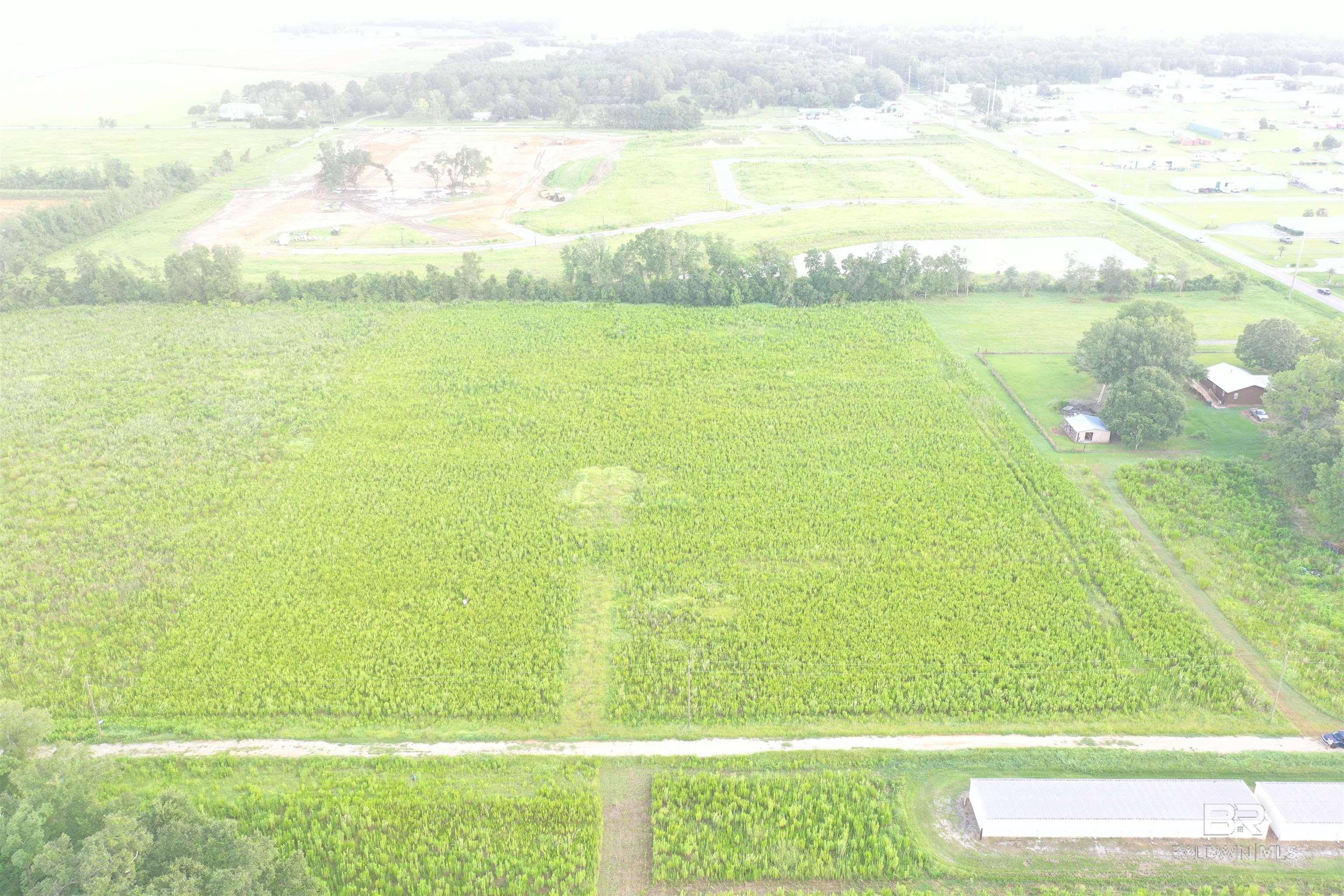 Foley, AL 36535,17857 Back Forty Lane