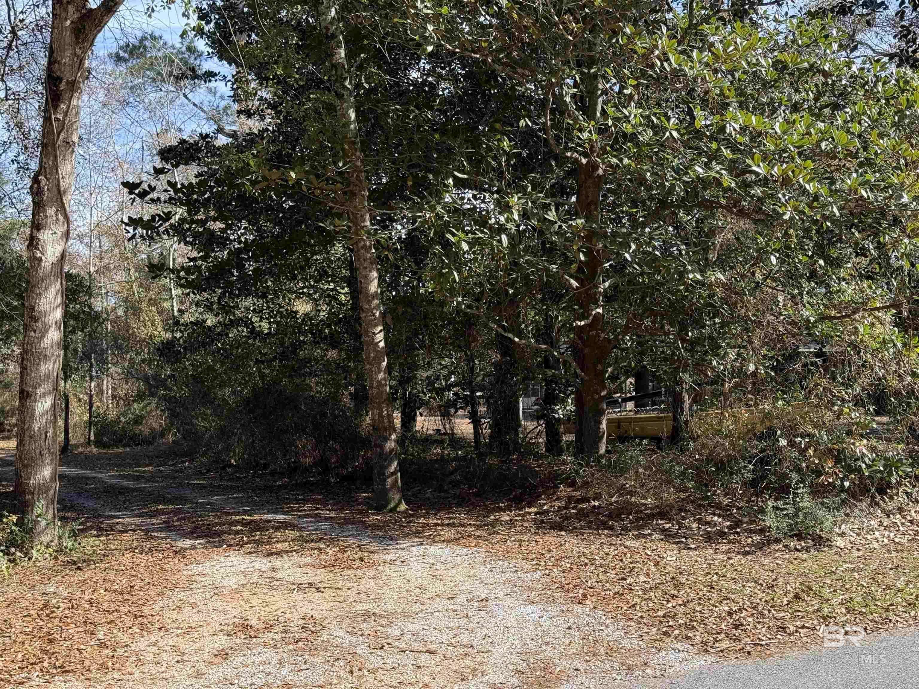 Bon Secour, AL 36511,lot 41 Cook Road
