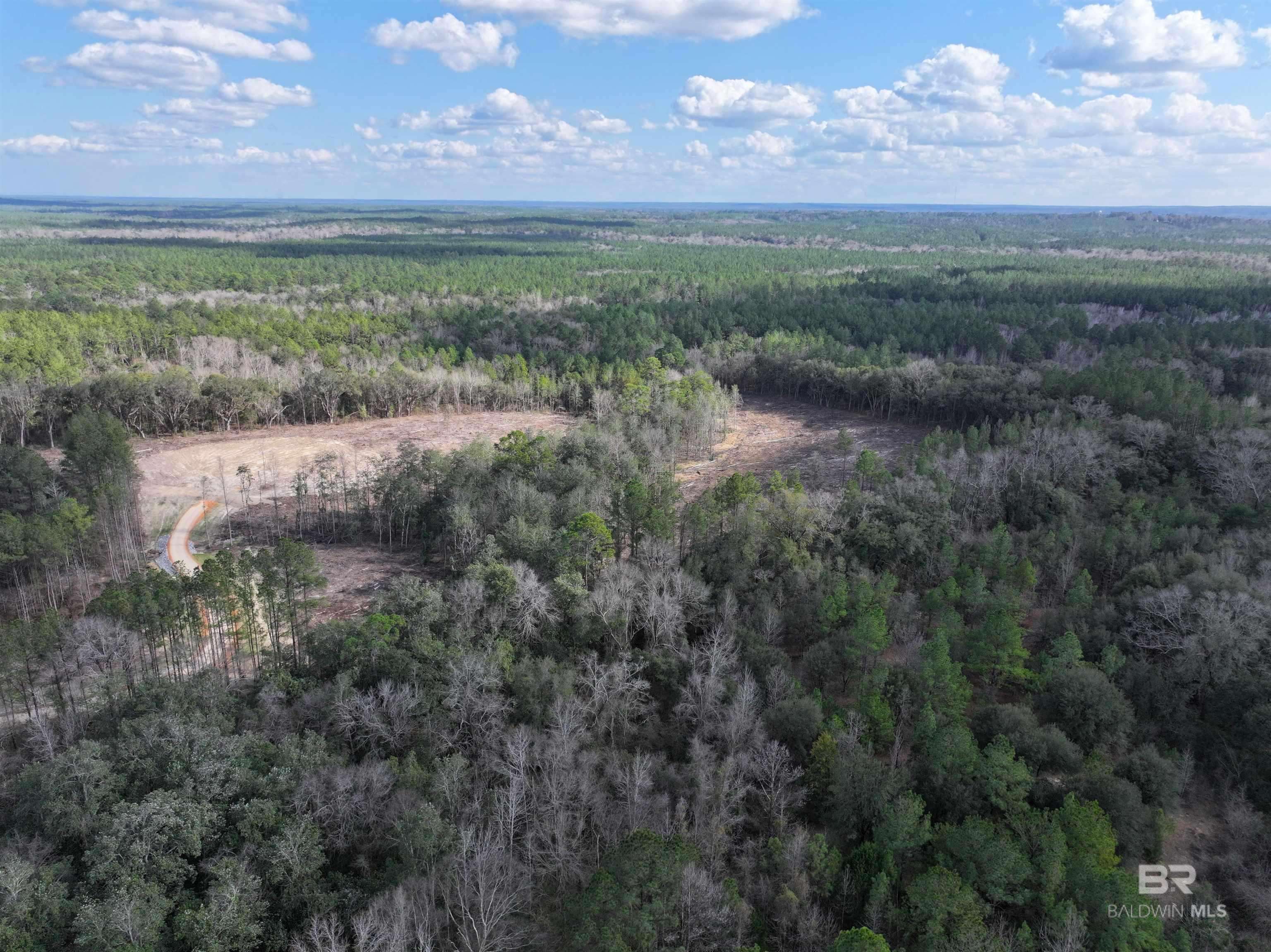 Brewton, AL 36426,0 Kirkland Road