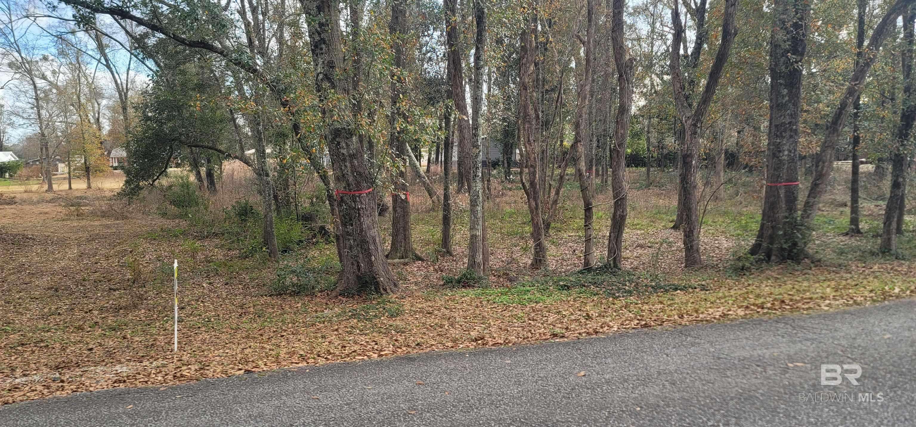 Foley, AL 36535,405 W Satsuma Avenue