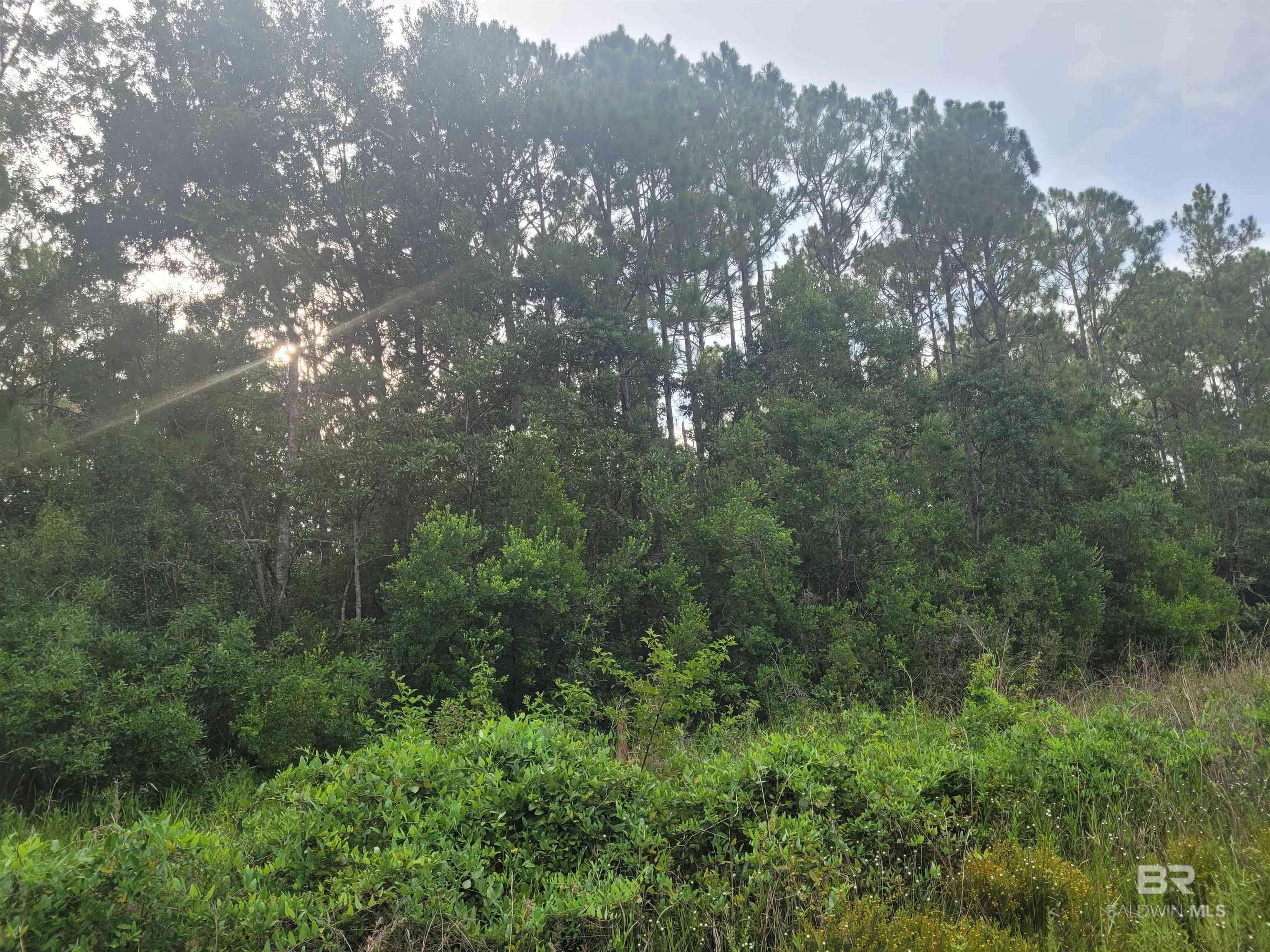 Theodore, AL 36582,0 Bellingrath Road