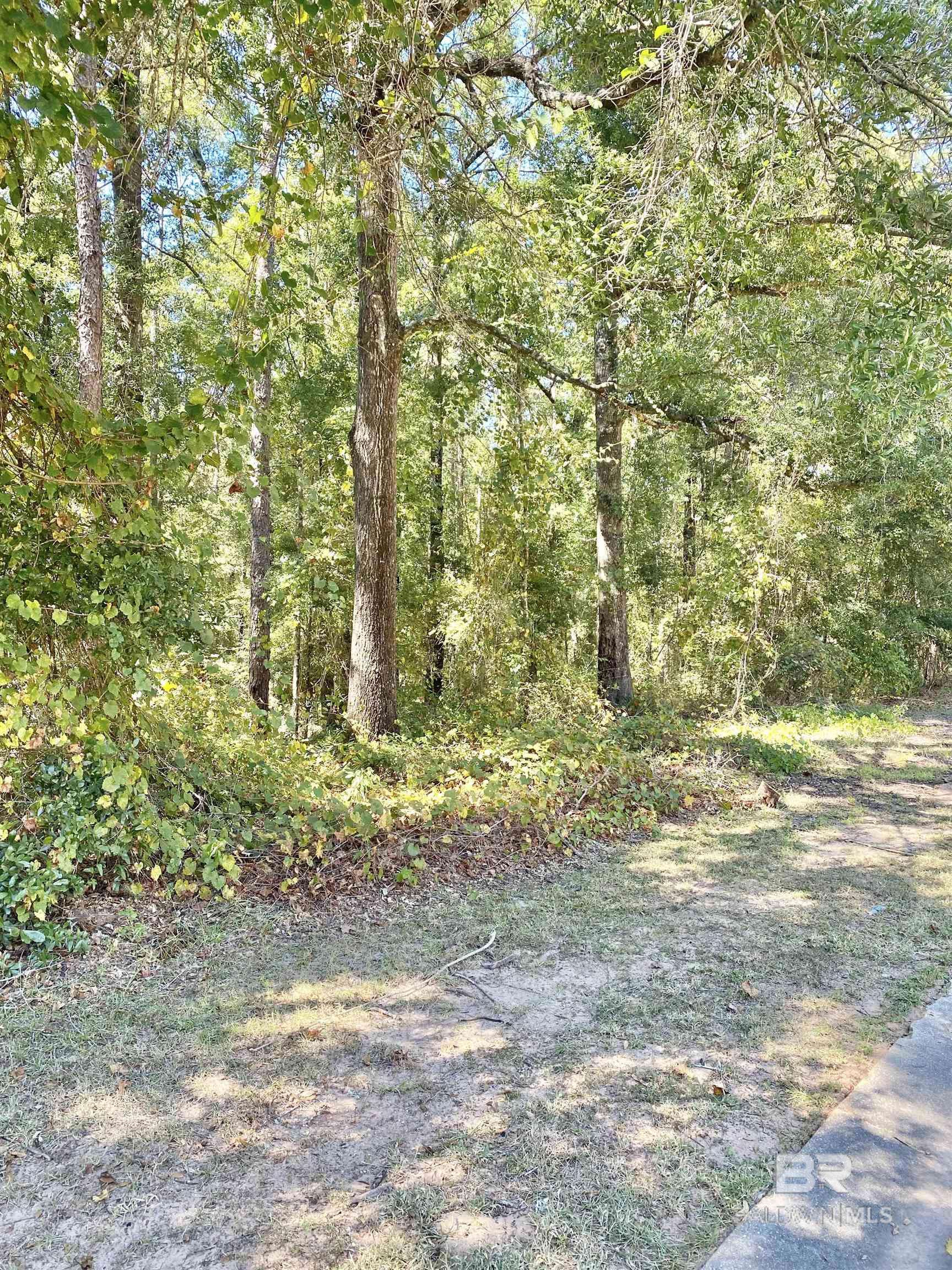Loxley, AL 36551,51 Steelwood Ridge Road