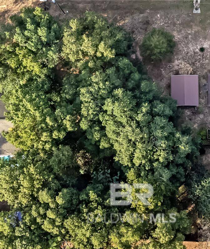 Lillian, AL 36549,Lot 11 W Bay Drive