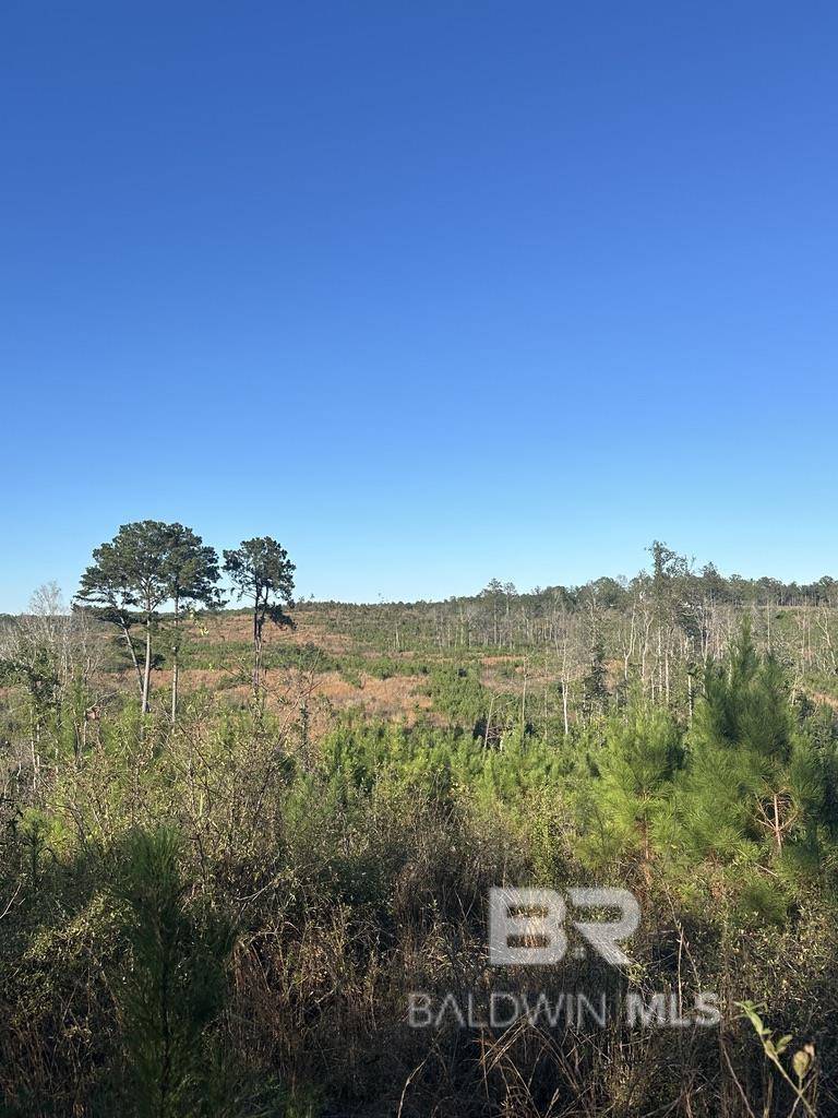 Millry, AL 36558,0 Mt Carmel Road