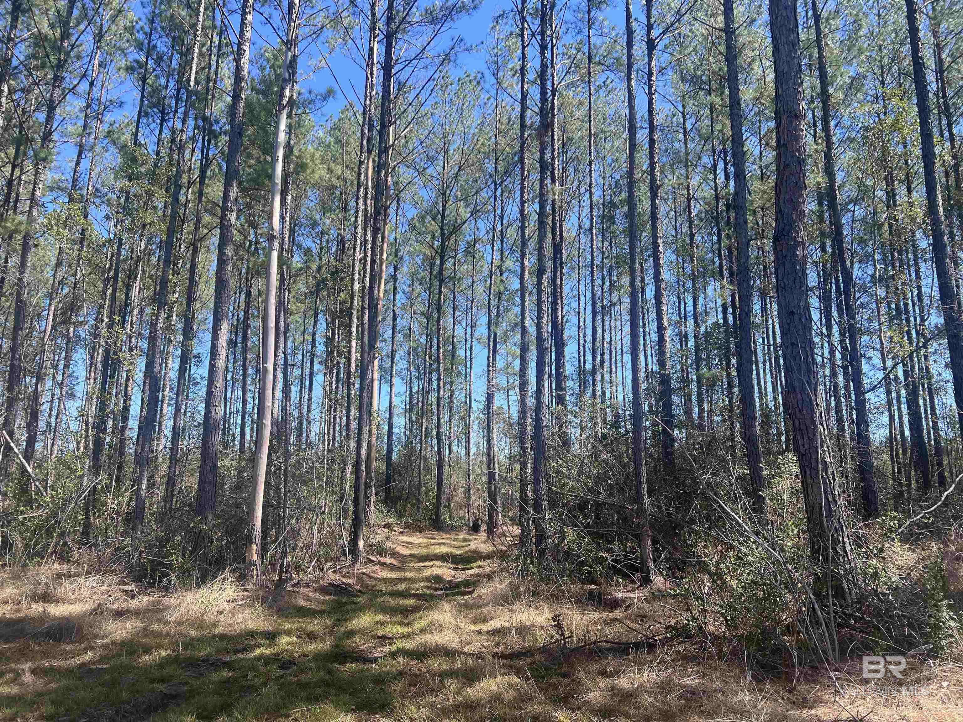 Atmore, AL 36502,09 Robinsonville Road