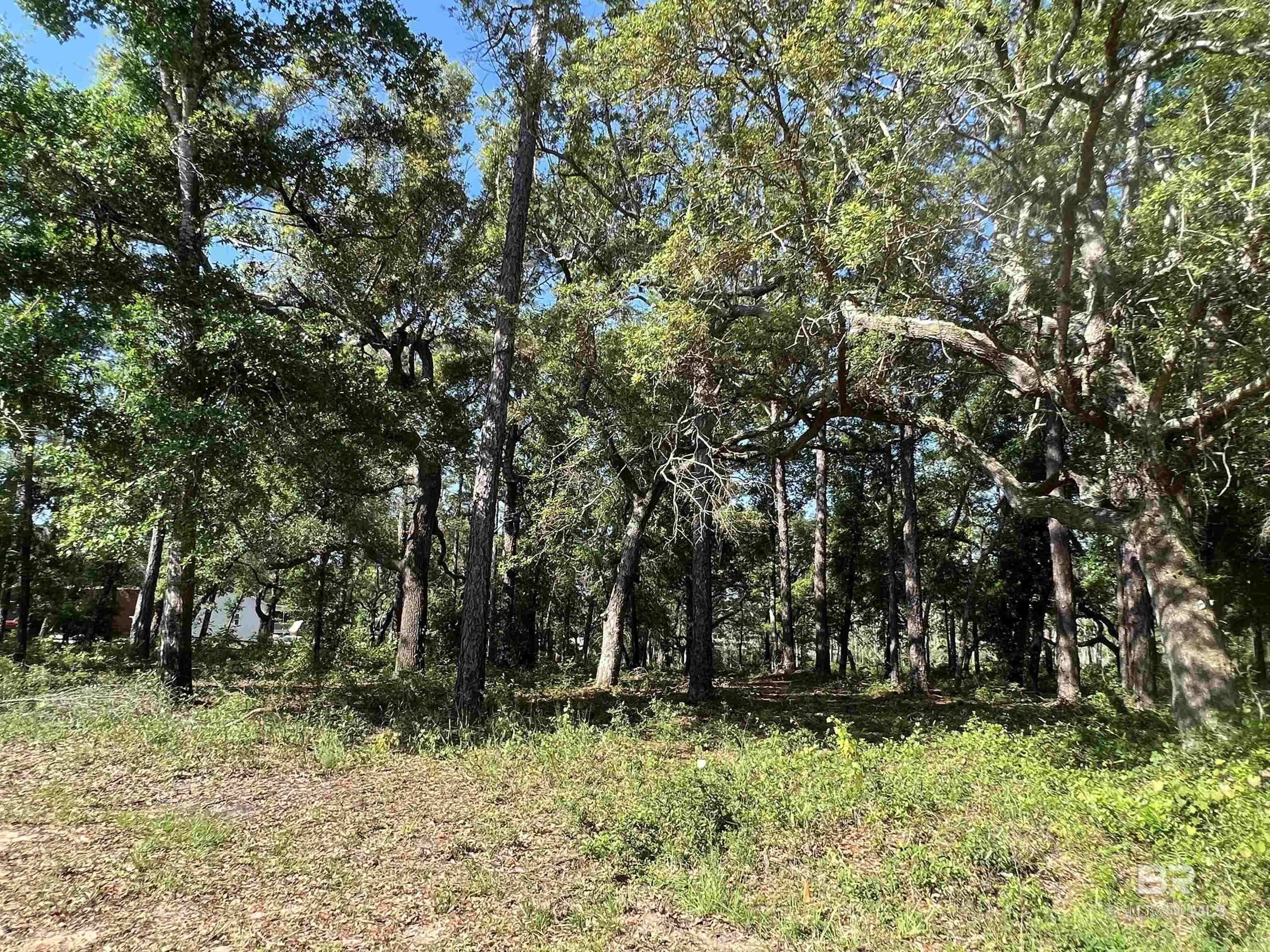 Lillian, AL 36549,9545 N Bayou Road
