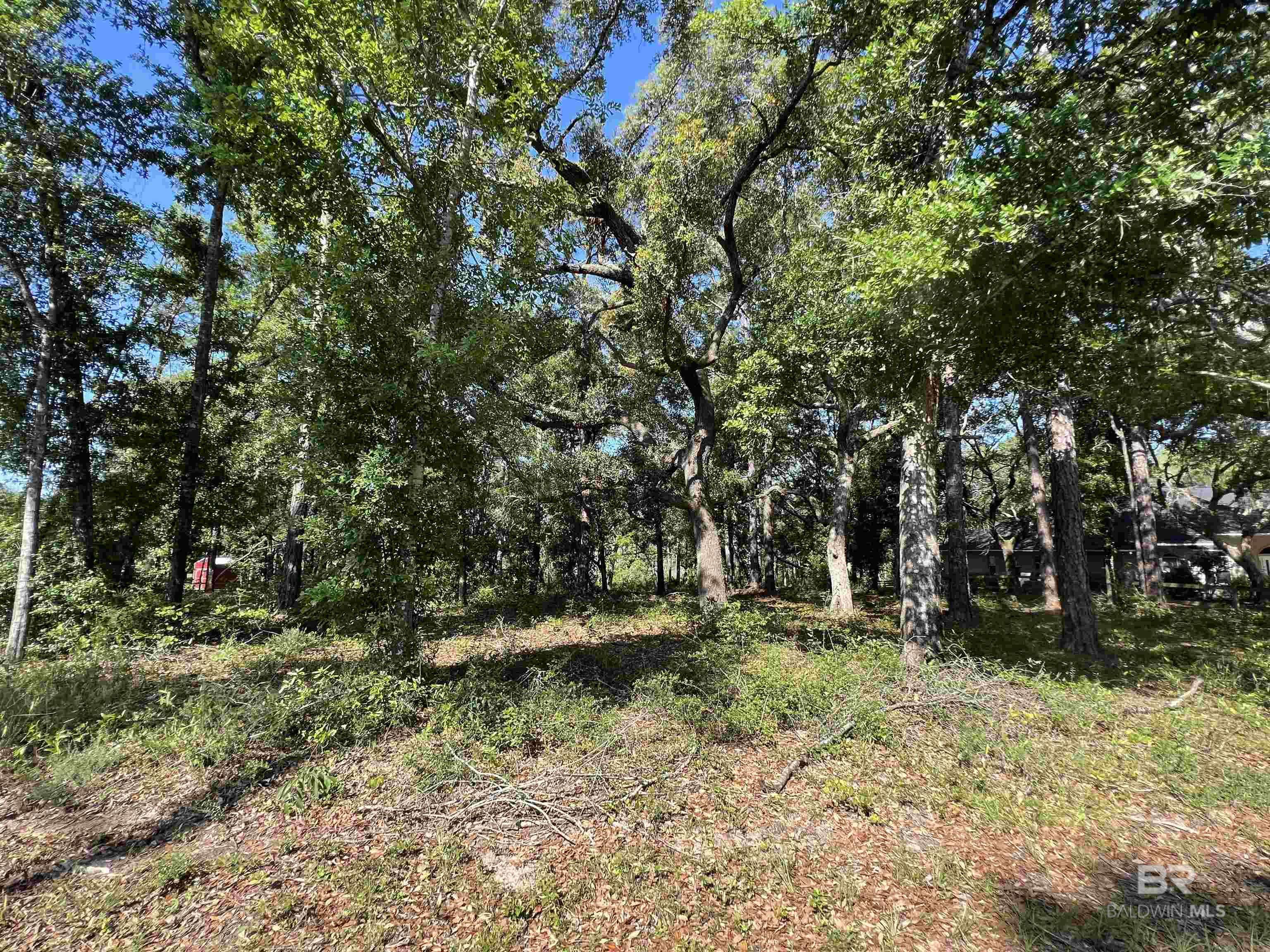 Lillian, AL 36549,9545 N Bayou Road