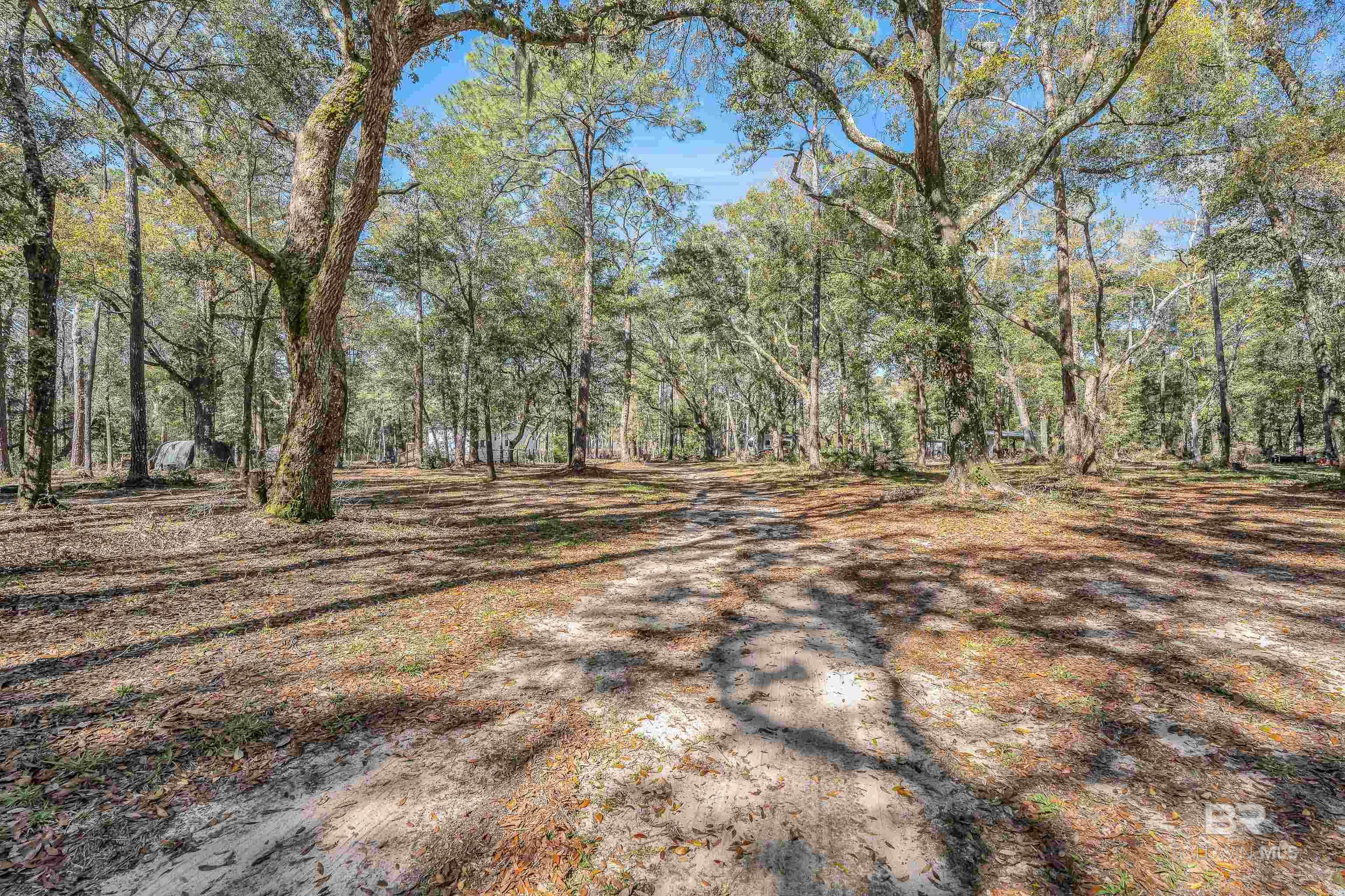 Foley, AL 36535,13595 Douglas Lane