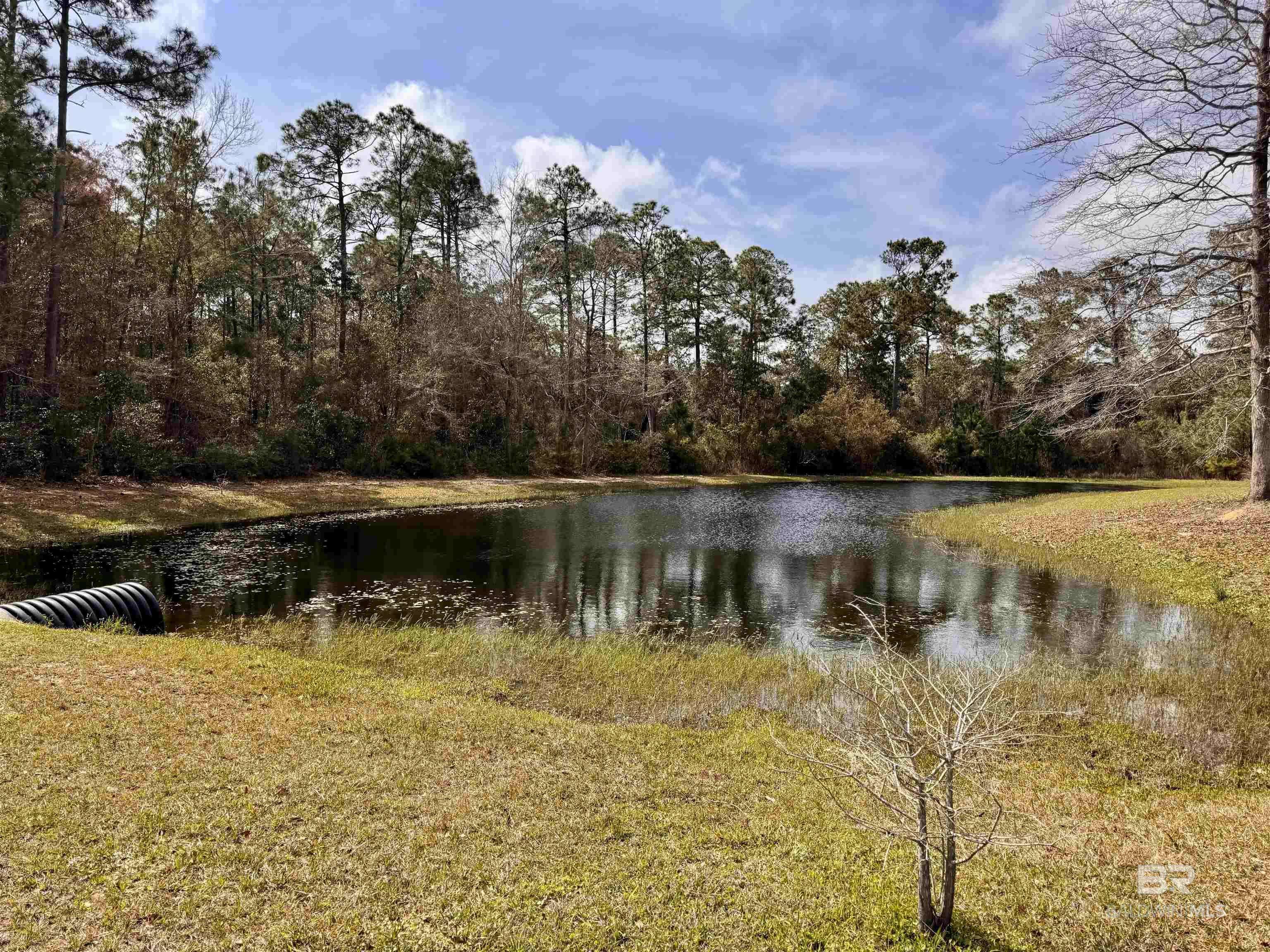 Gulf Shores, AL 36542,6091 Albray Drive