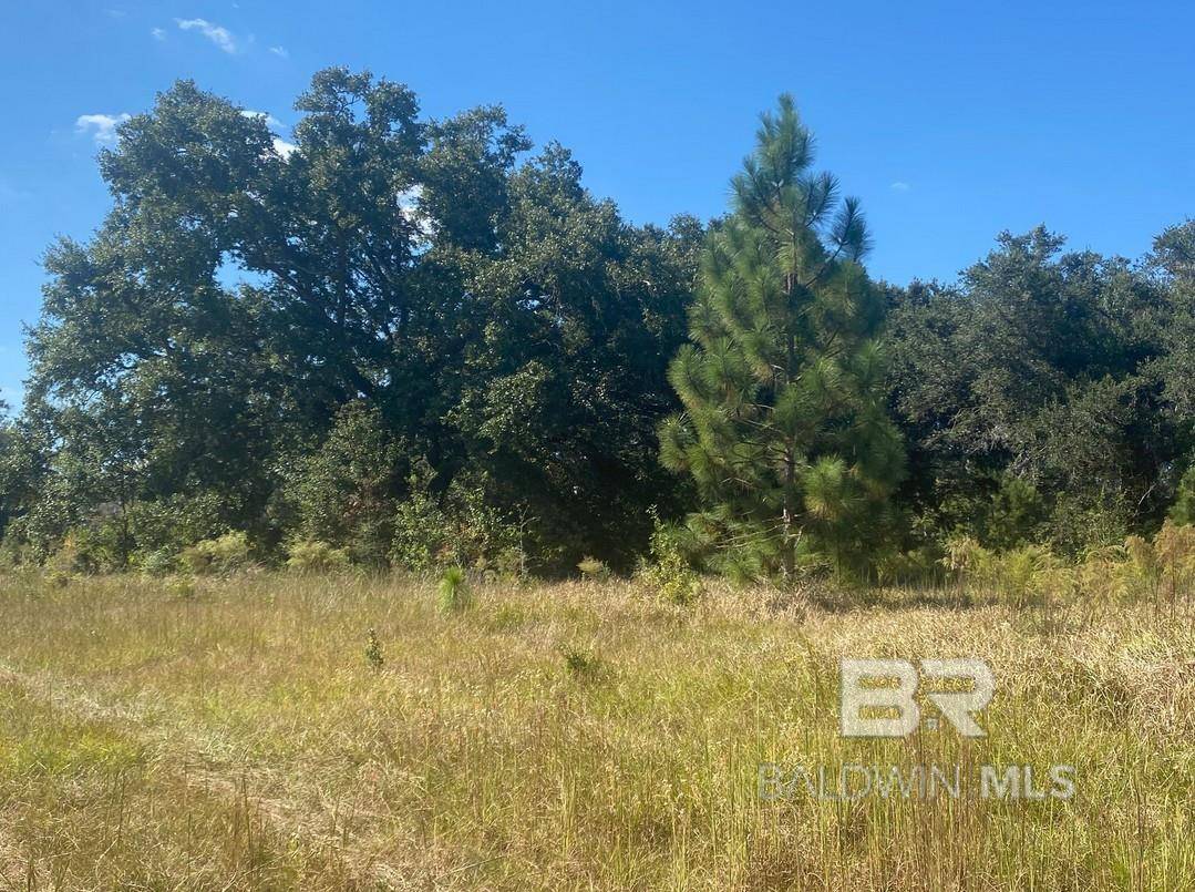 Mobile, AL 36608,0 Hampton Road