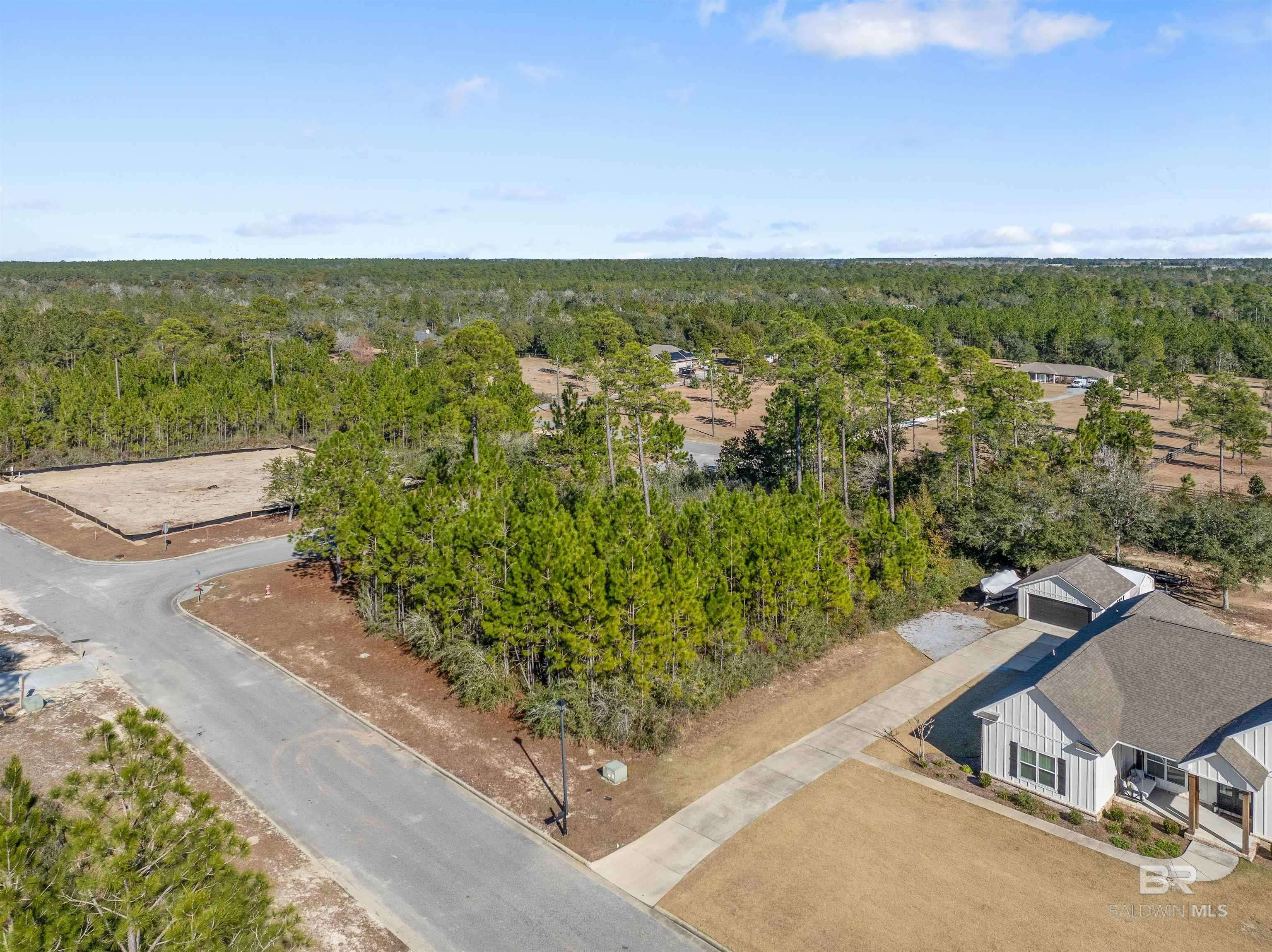 Elberta, AL 36530,0 Tall Timber Lane